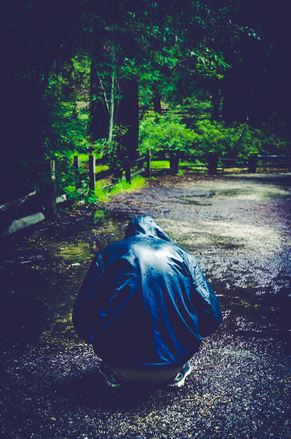 Pentax K-3 sample photo. Pentax kbig basin edited photography