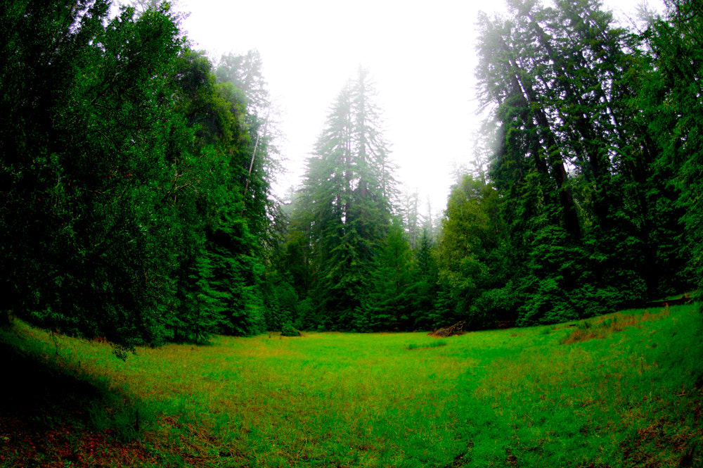 Pentax K-3 sample photo. Pentax kbig basin edited photography