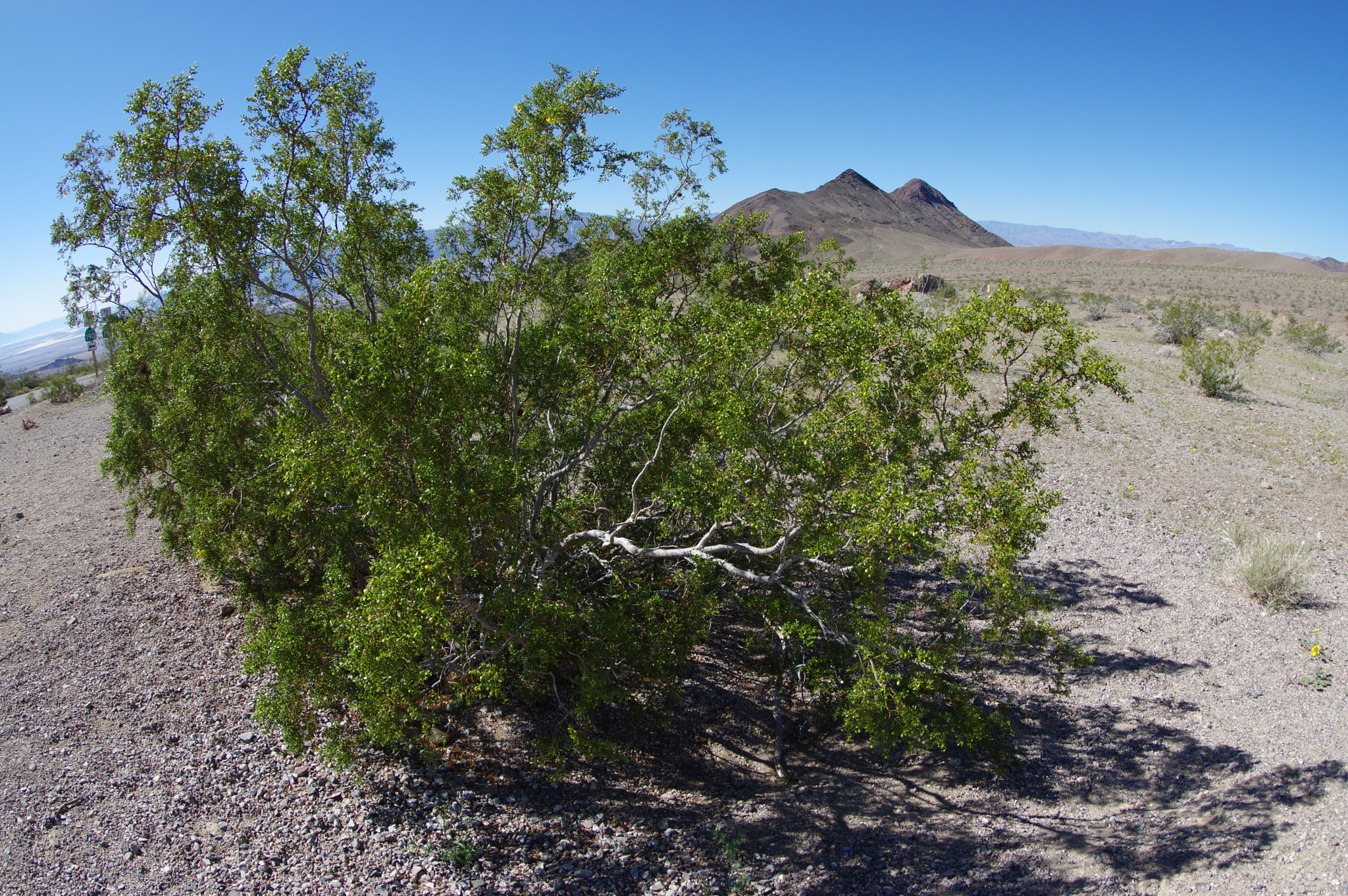 Pentax K-3 sample photo. 2016//death valley photography