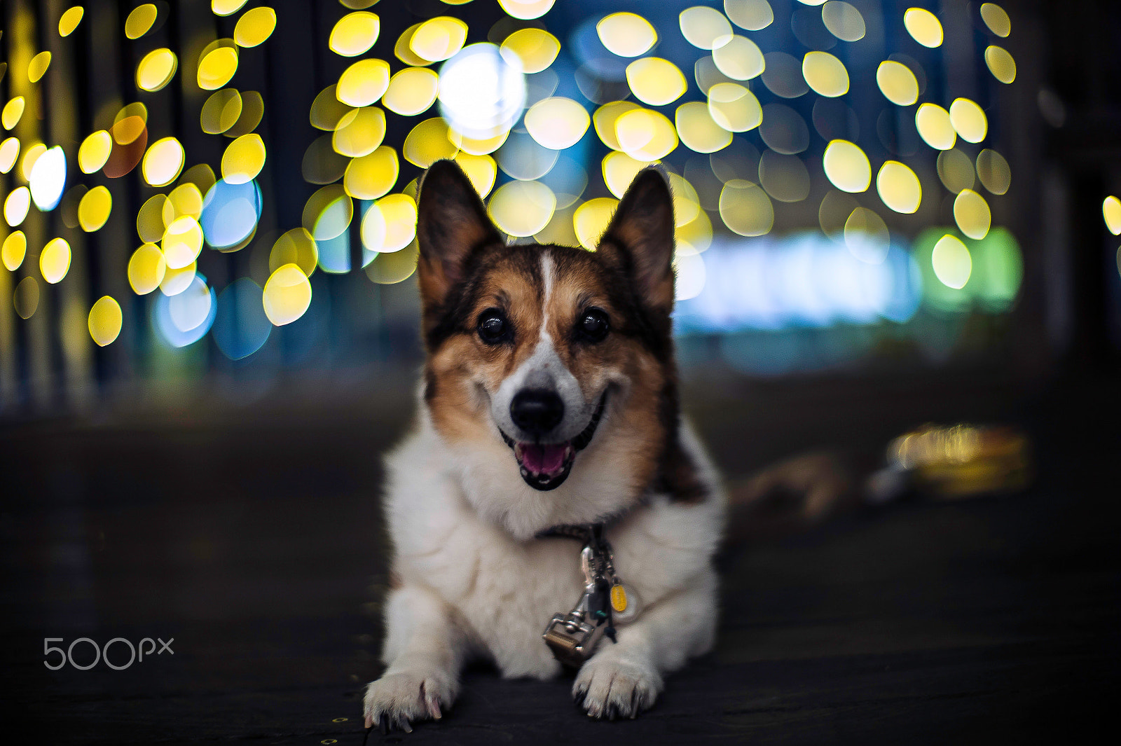 Leica M9 + Noctilux-M 50mm f/1 sample photo. Stay young photography