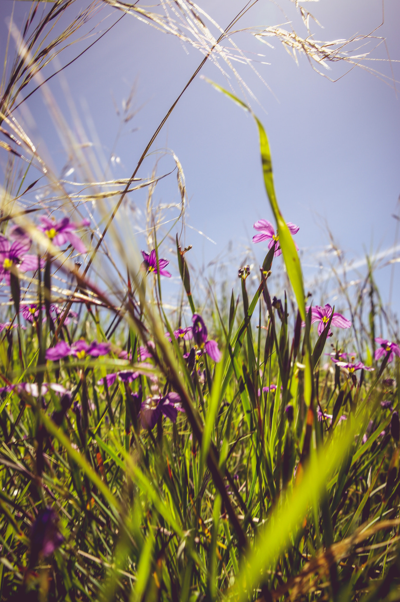 Pentax K-3 sample photo. Lake chabbot photography