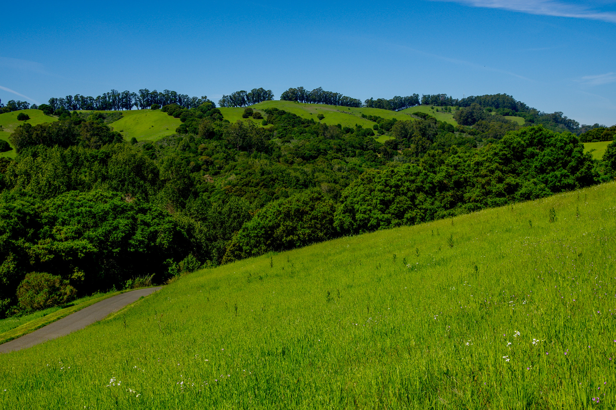 Pentax K-3 sample photo. Lake chabbot photography