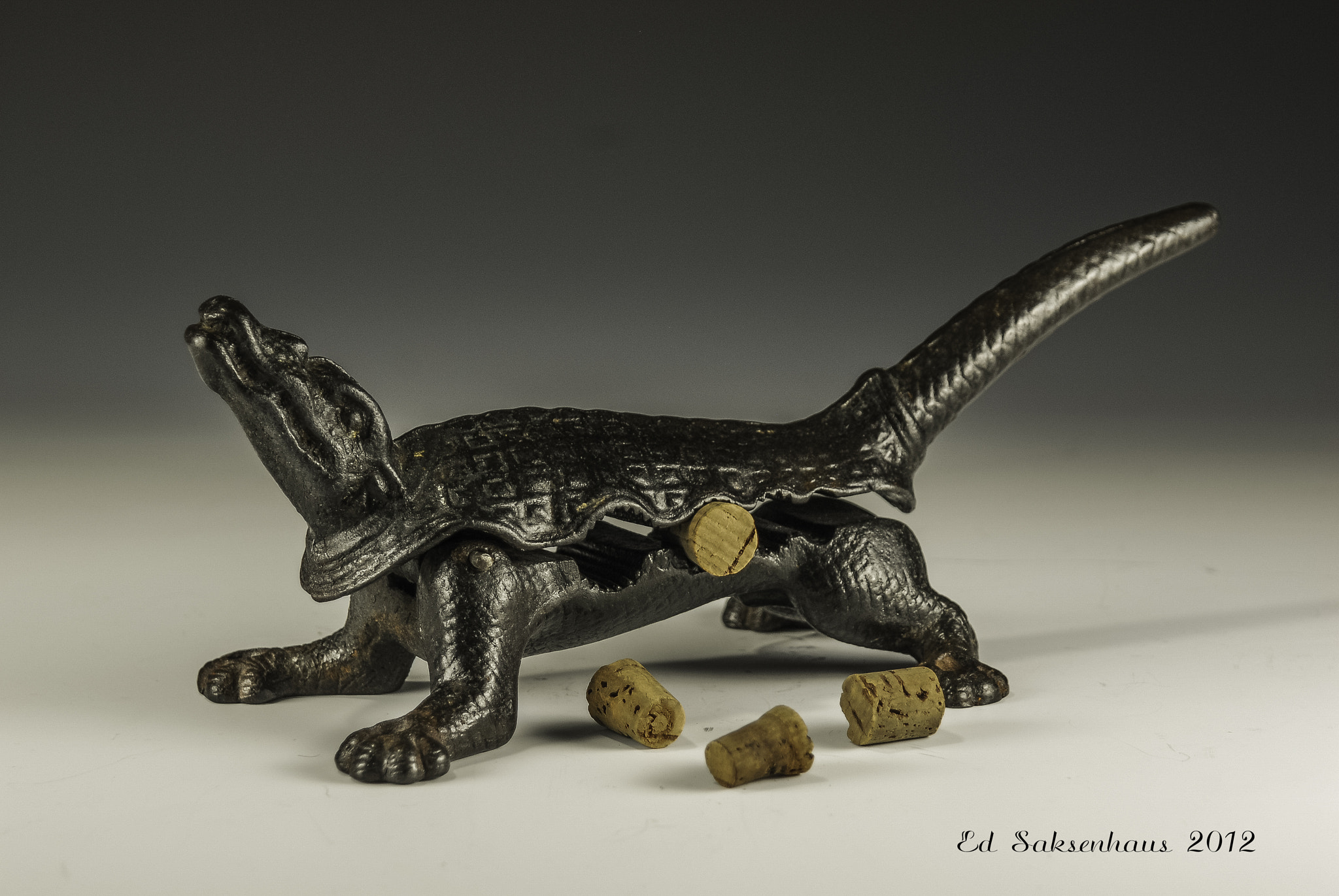 Nikon D200 sample photo. Alligator cork press photography