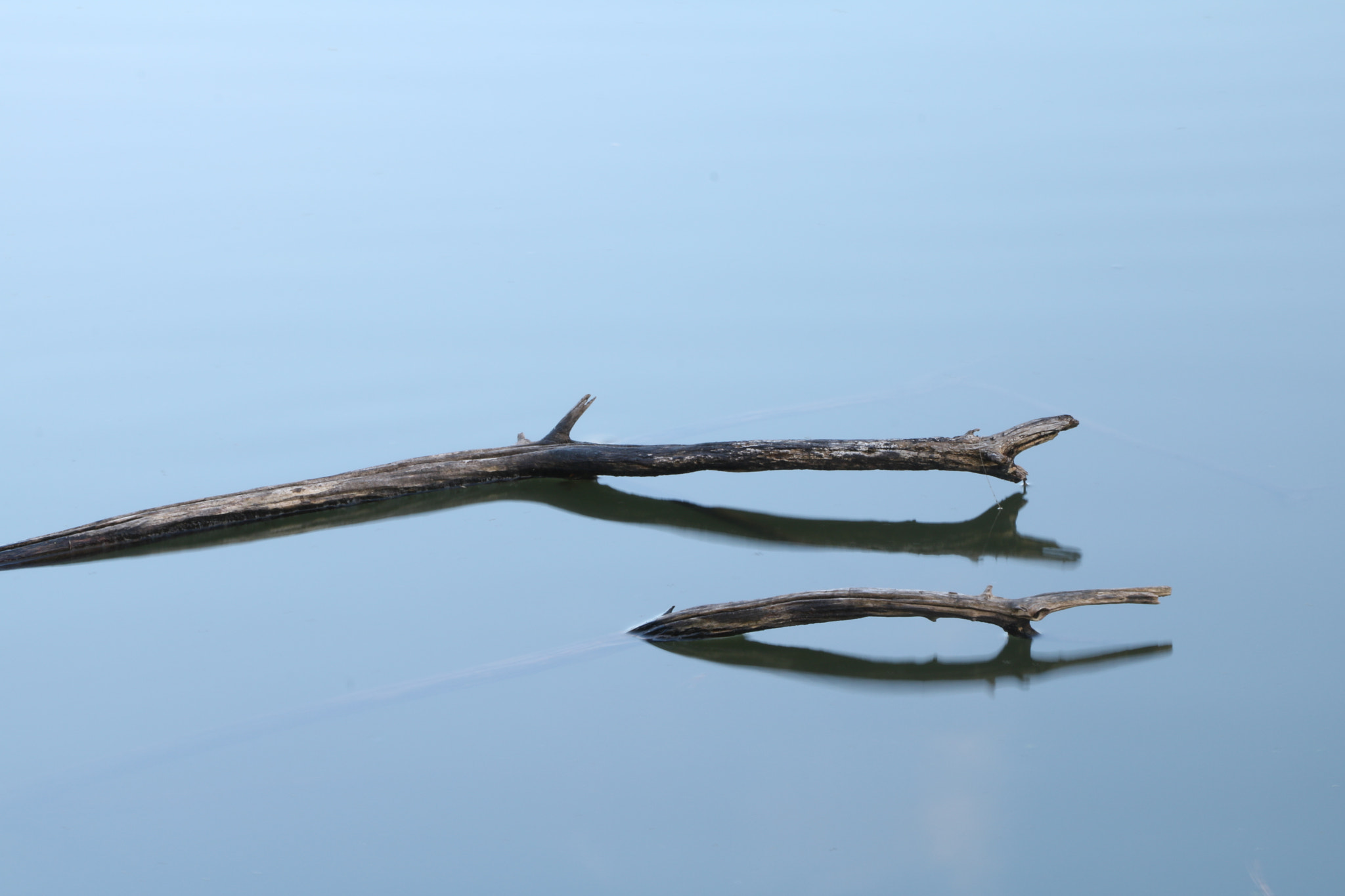 Canon EOS 760D (EOS Rebel T6s / EOS 8000D) sample photo. The zen stick photography
