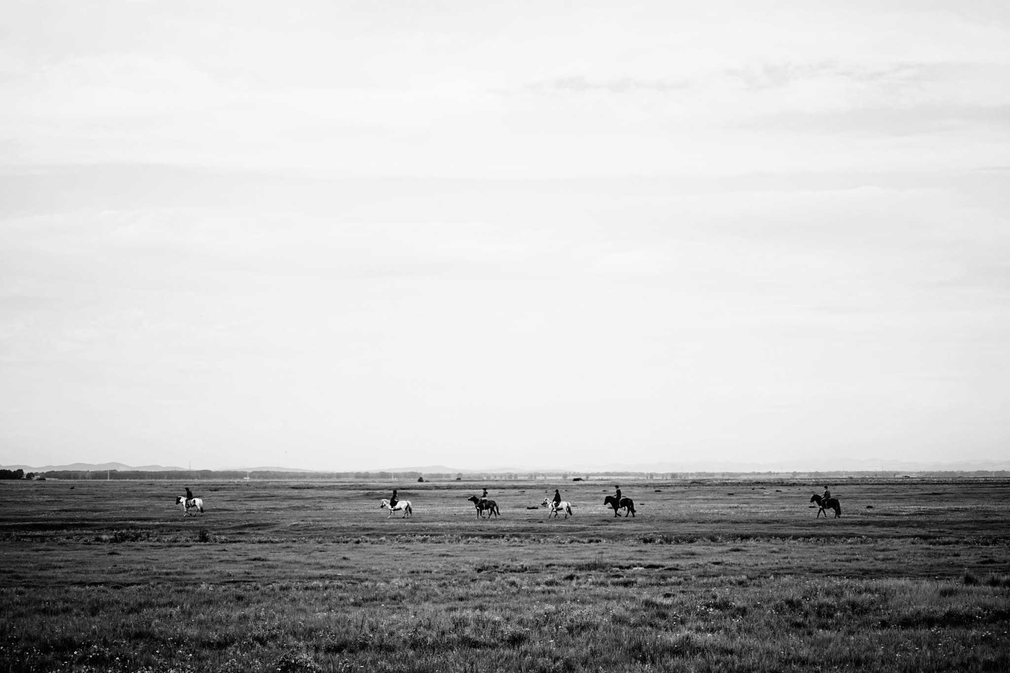 Sony a7 II + Sony FE 70-200mm F4 G OSS sample photo. Grassland with horse and man photography