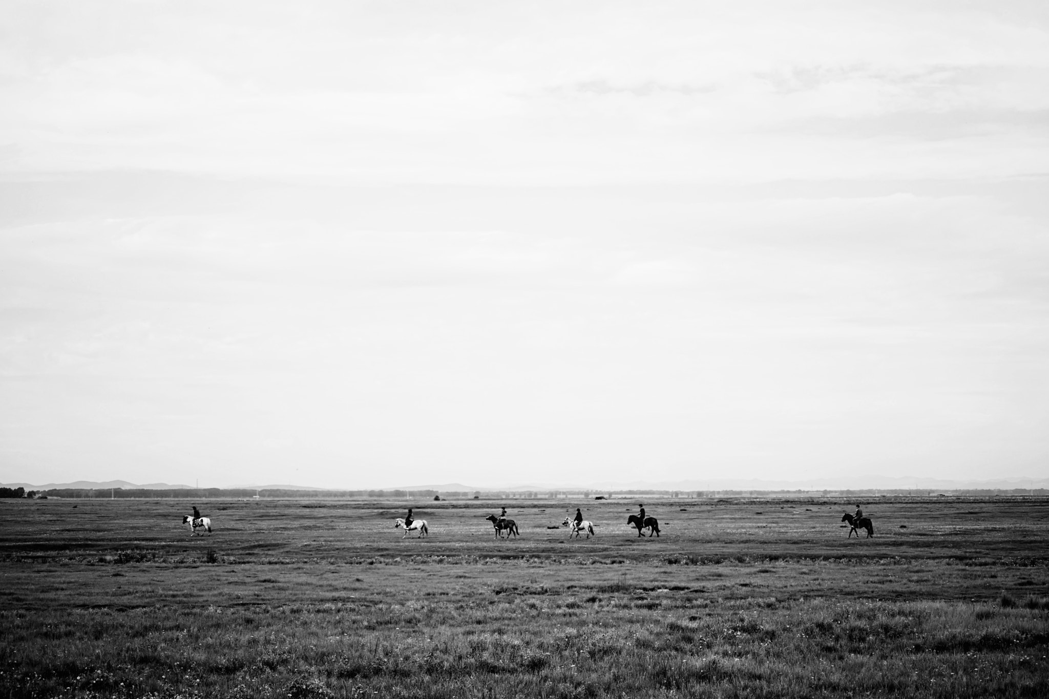 Sony FE 70-200mm F4 G OSS sample photo. Grassland with horse and man photography