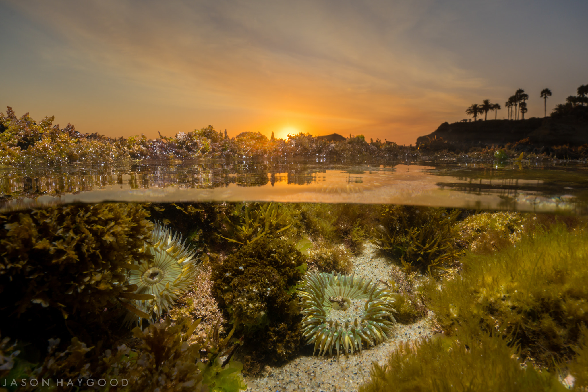 Sony a6300 + ZEISS Touit 12mm F2.8 sample photo. Underwater sunset photography