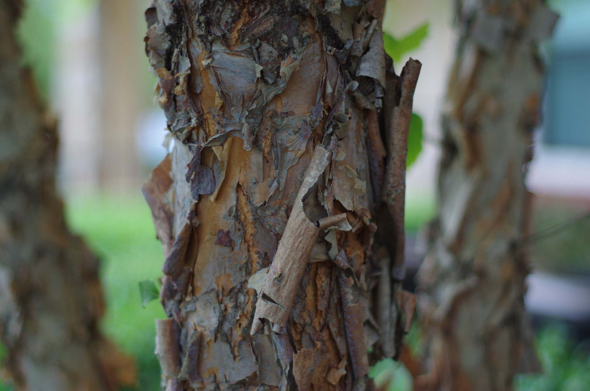 Pentax K-50 + A Series Lens sample photo. Apartment photography