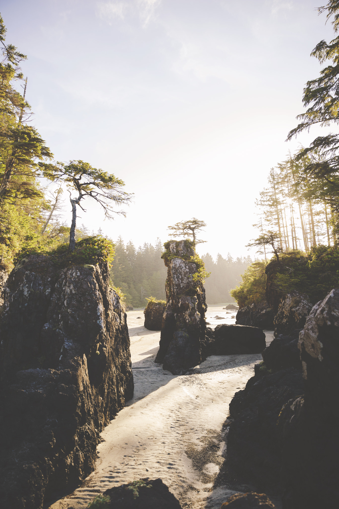 Pillars in the Sand