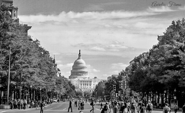 Canon PowerShot SD790 IS (Digital IXUS 90 IS / IXY Digital 95 IS) sample photo. The capitol, washington dc photography