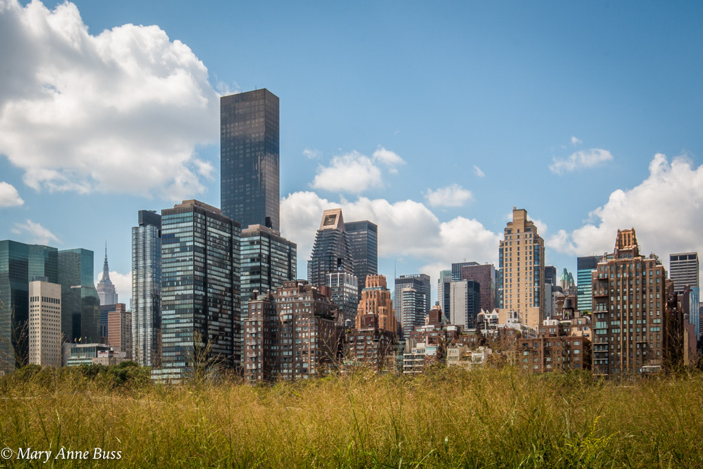Canon EOS 70D + Canon EF 16-35mm F4L IS USM sample photo. New york skyline from roosevelt island photography
