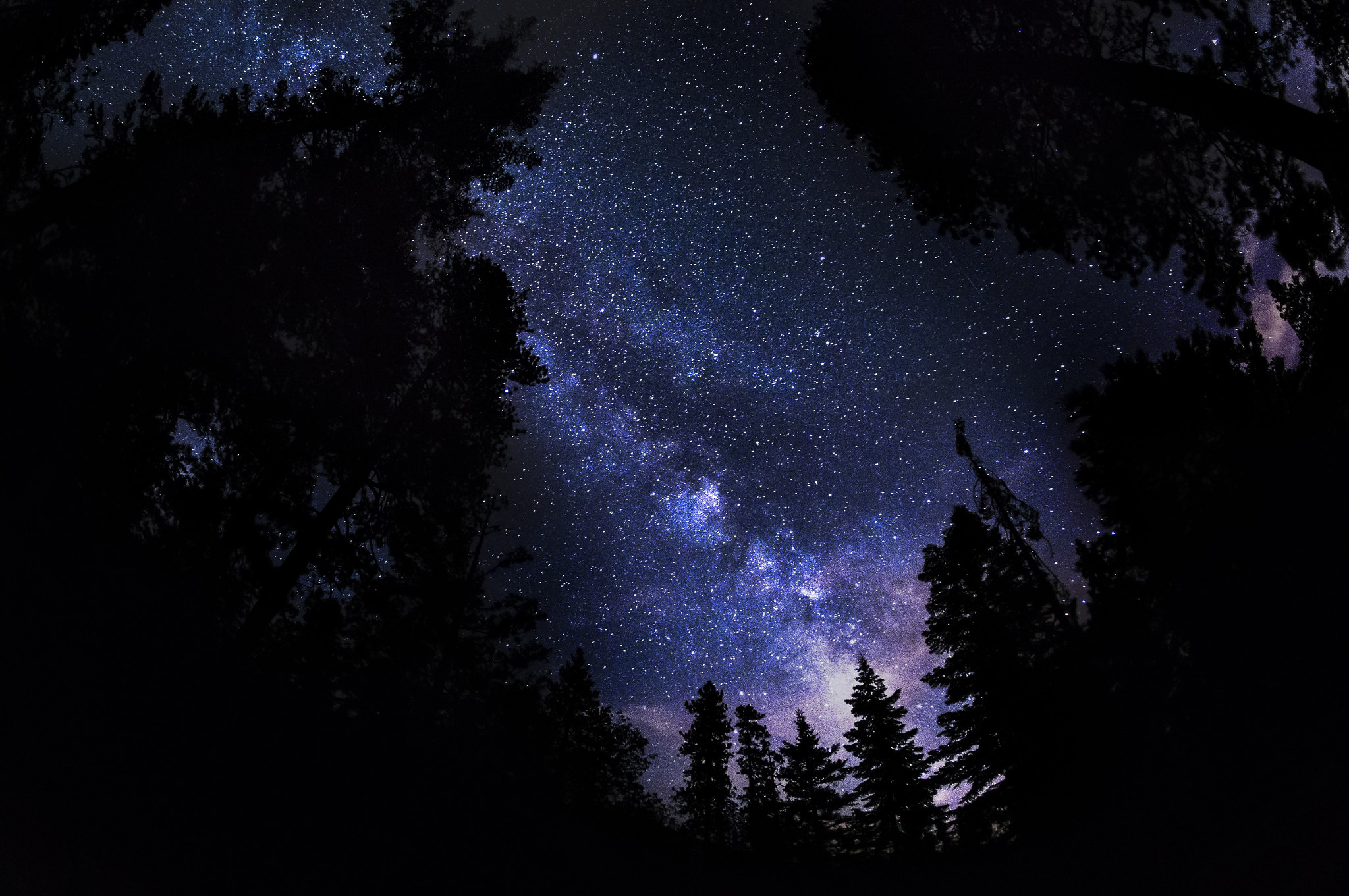 Sigma 10mm F2.8 EX DC HSM Diagonal Fisheye sample photo. Milky way at idyllwild photography