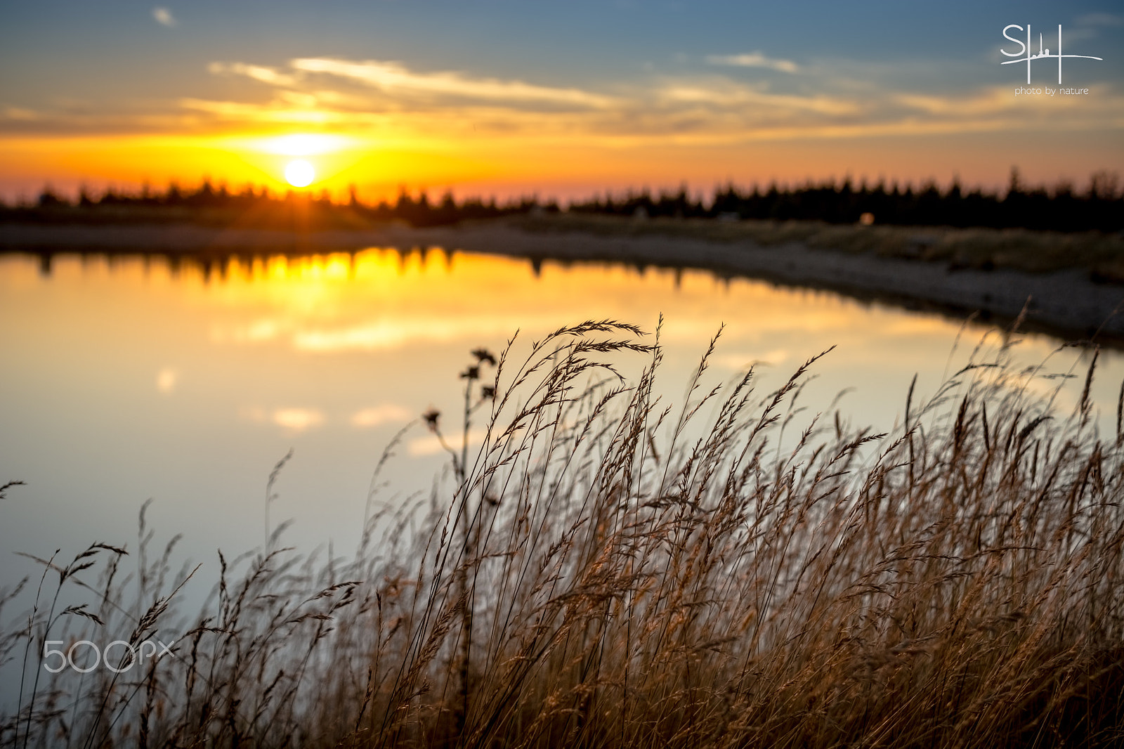 Sigma 18-50mm F2.8-4.5 DC OS HSM sample photo. Am wurmberg photography