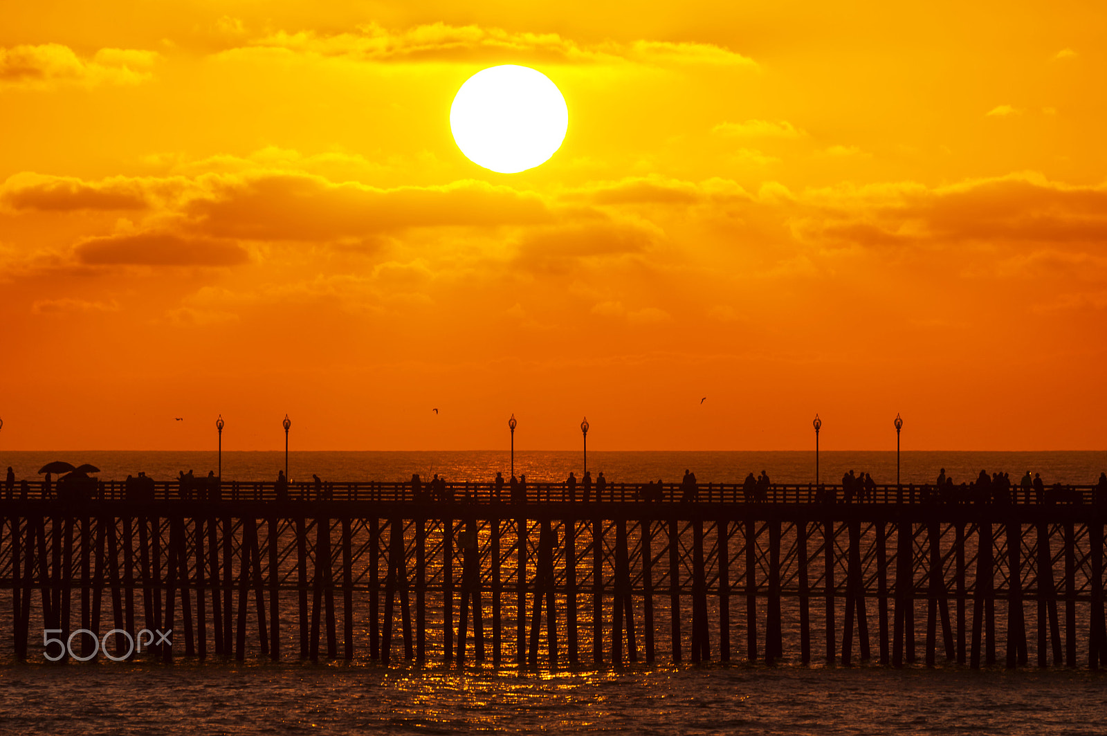 Nikon D700 + Nikon AF-S Nikkor 80-400mm F4.5-5.6G ED VR sample photo. Golden sunset at oceanside - august 26, 2016 photography