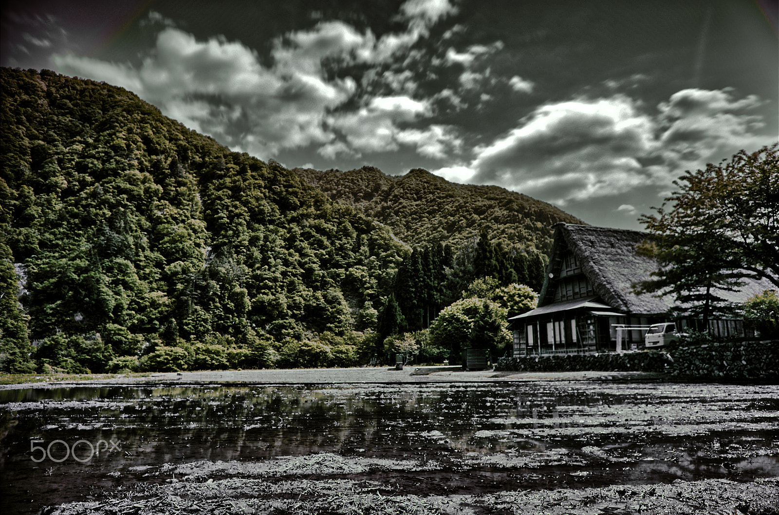 HD Pentax DA 15mm F4 ED AL Limited sample photo. A rice field and old house photography