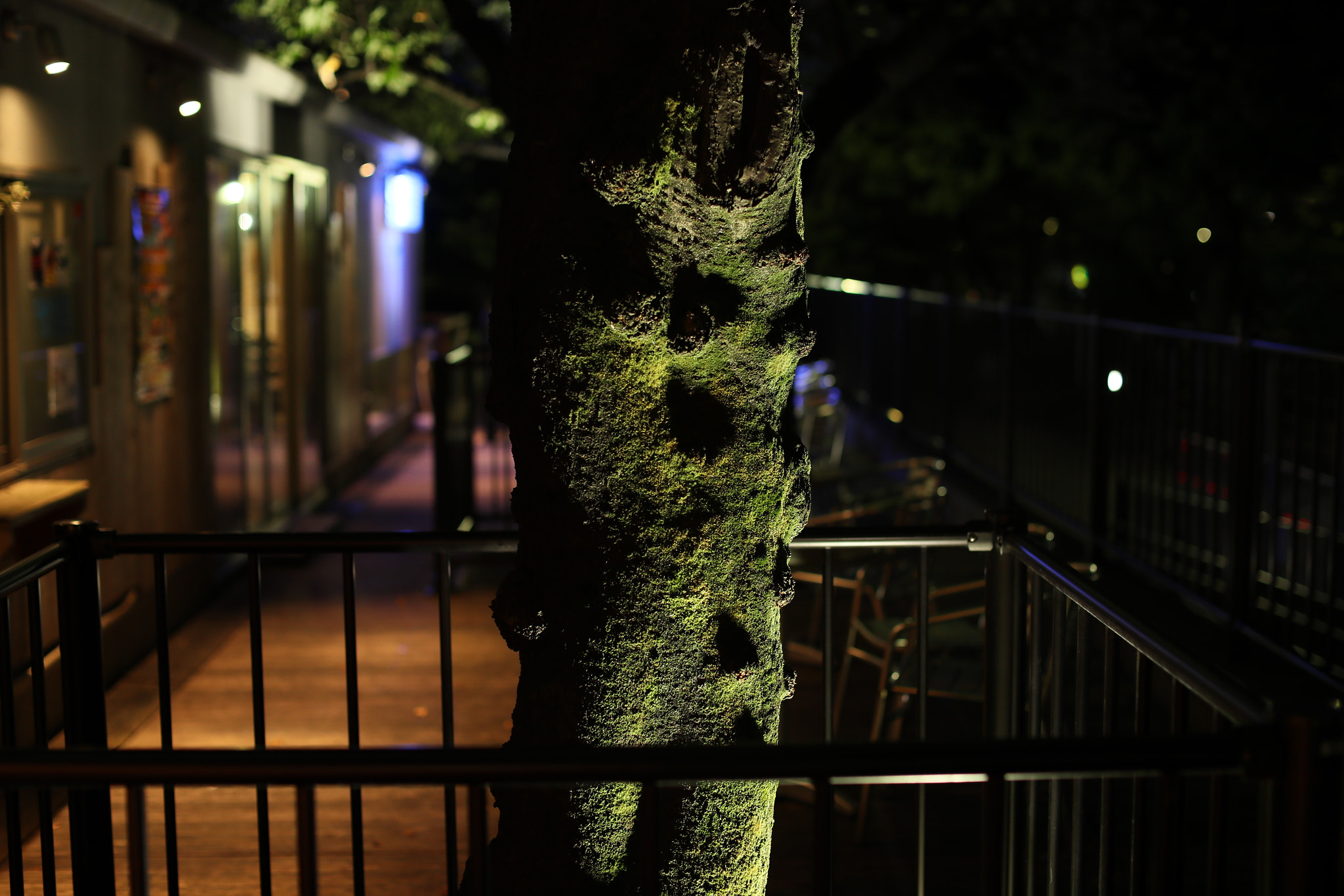 Canon EF 50mm F1.2L USM sample photo. On a warm summer night photography