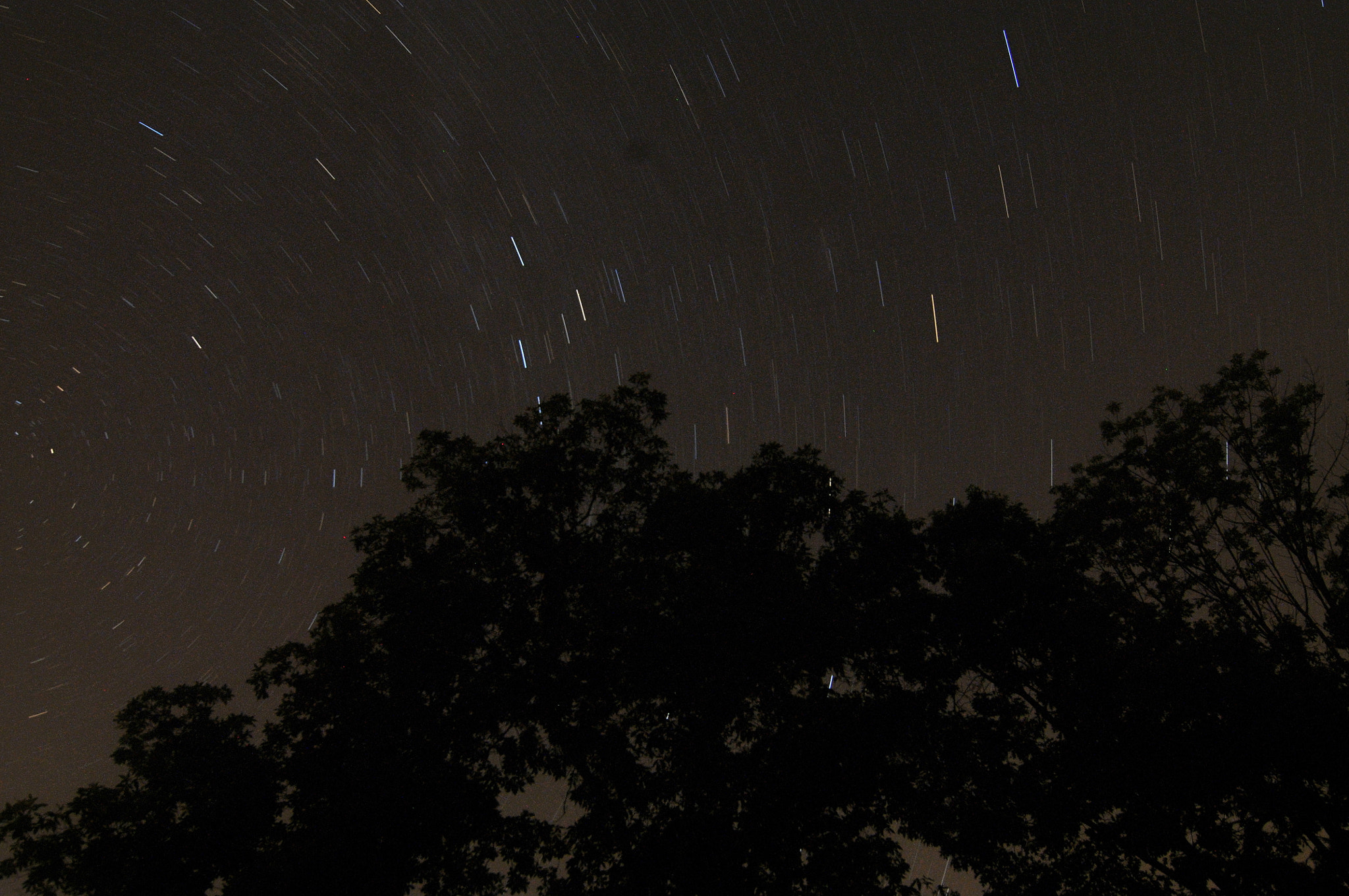 Nikon D300 sample photo. Stars at 1:00 am photography