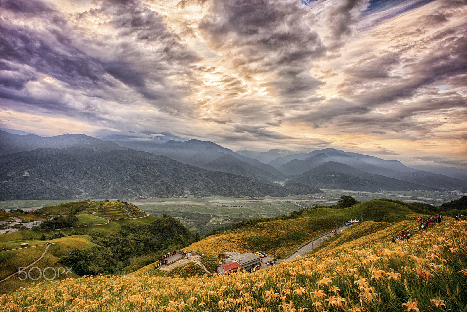 Nikon D610 + Nikon AF Nikkor 20mm F2.8D sample photo. 六十石山 金針花 photography