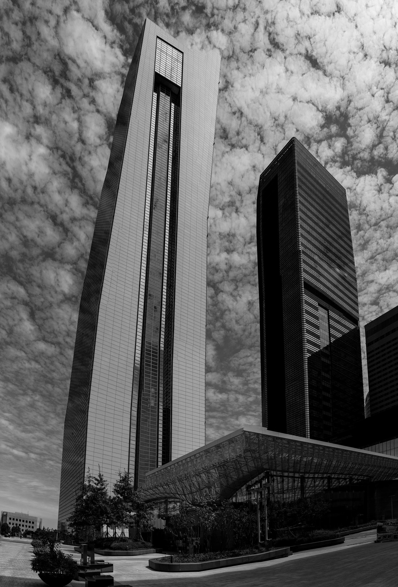 Leica Summicron-M 35mm F2 ASPH sample photo. Crooked photography