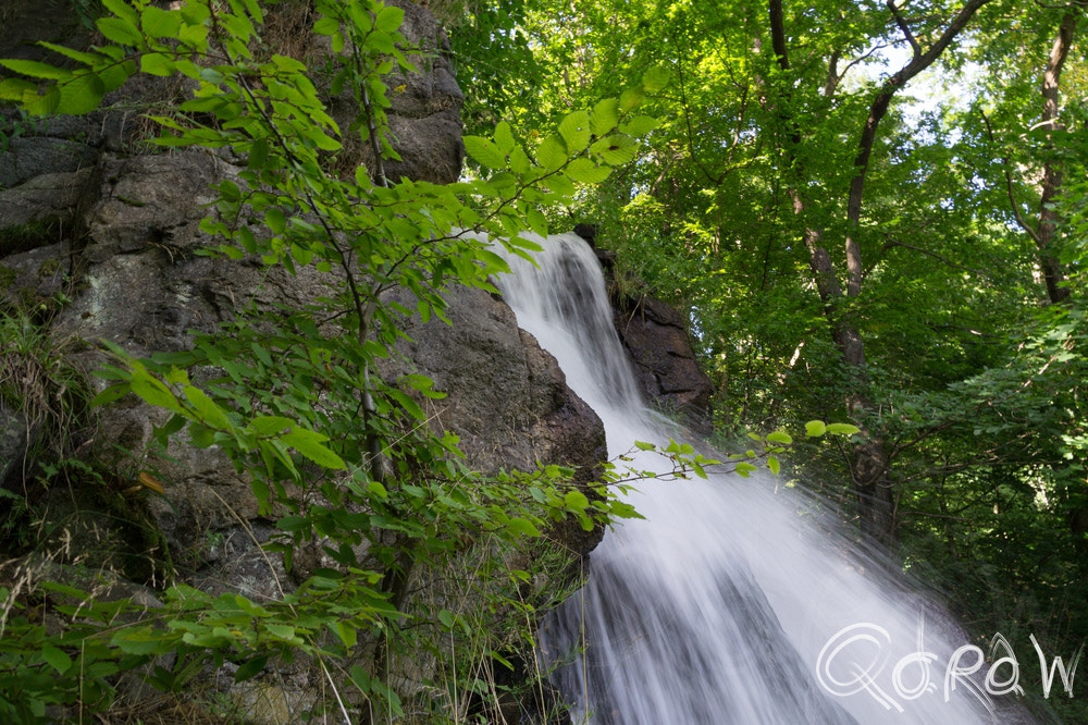 Sony SLT-A58 + Sigma 18-200mm F3.5-6.3 DC sample photo. Altersbach photography