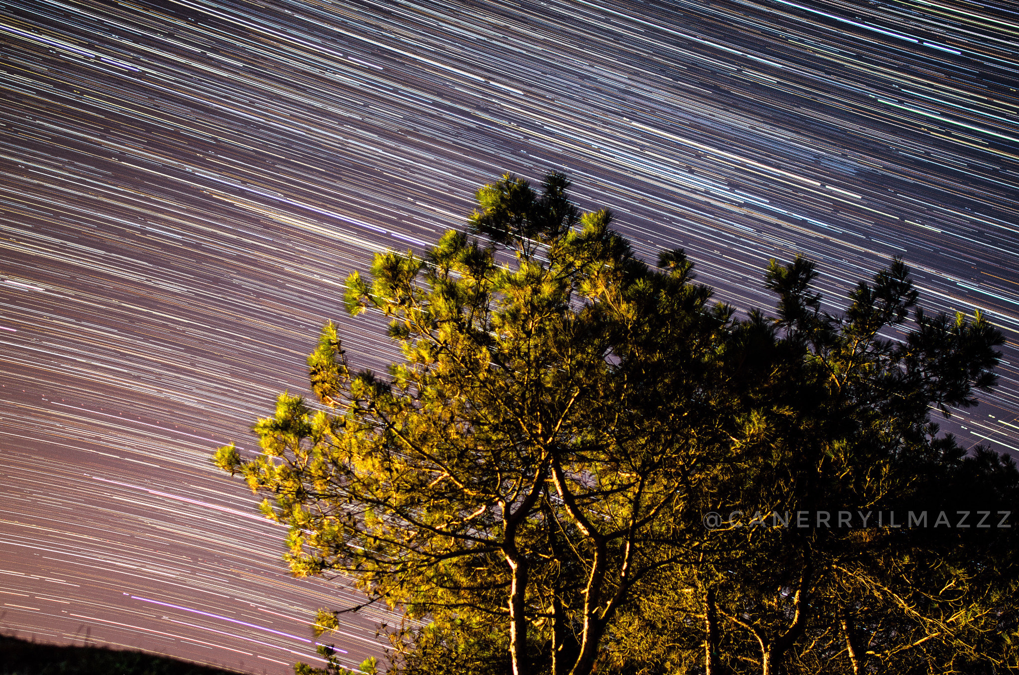 Samyang 12mm F2.8 ED AS NCS Fisheye sample photo. Go go go photography