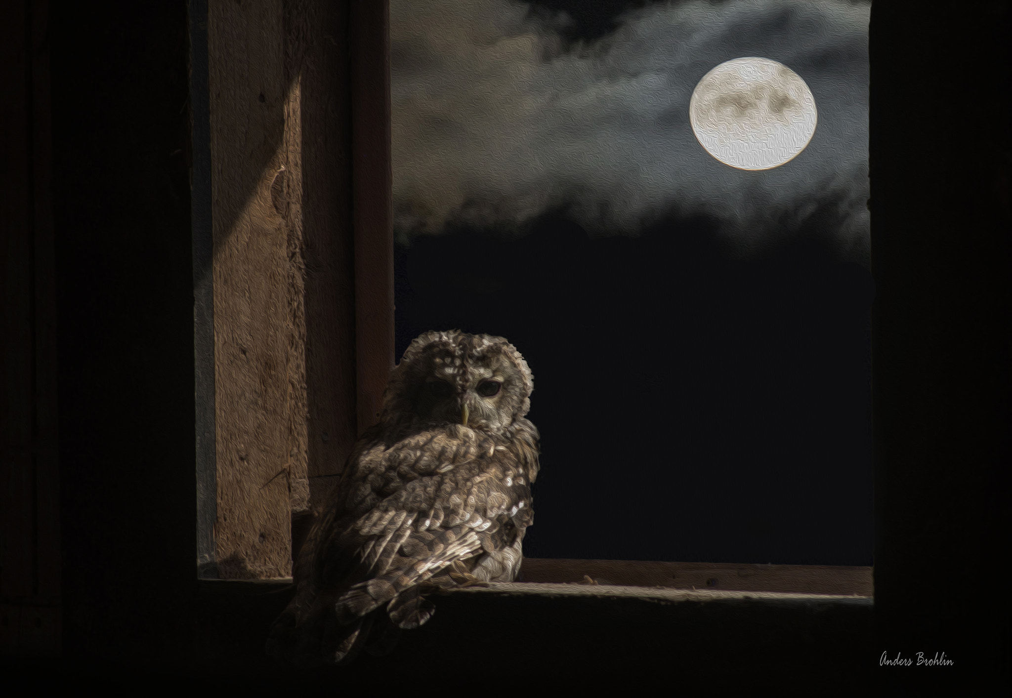Sony a99 II + Sony 75-300mm F4.5-5.6 sample photo. Painted owl looking at  the moon photography