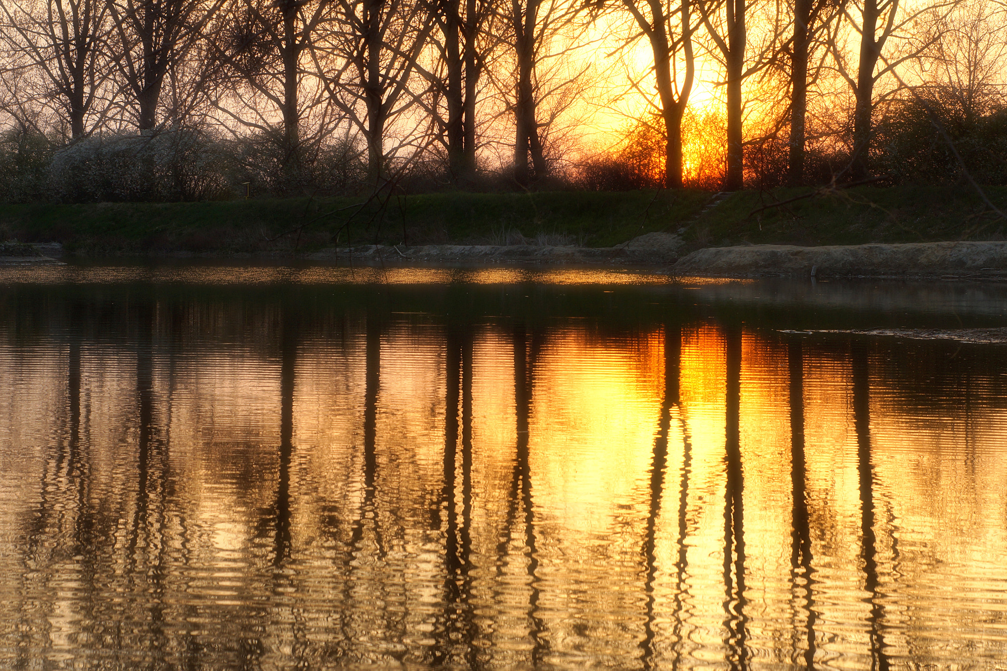 Sony SLT-A57 + Minolta AF 50mm F1.7 sample photo. Trees in a burning lake photography