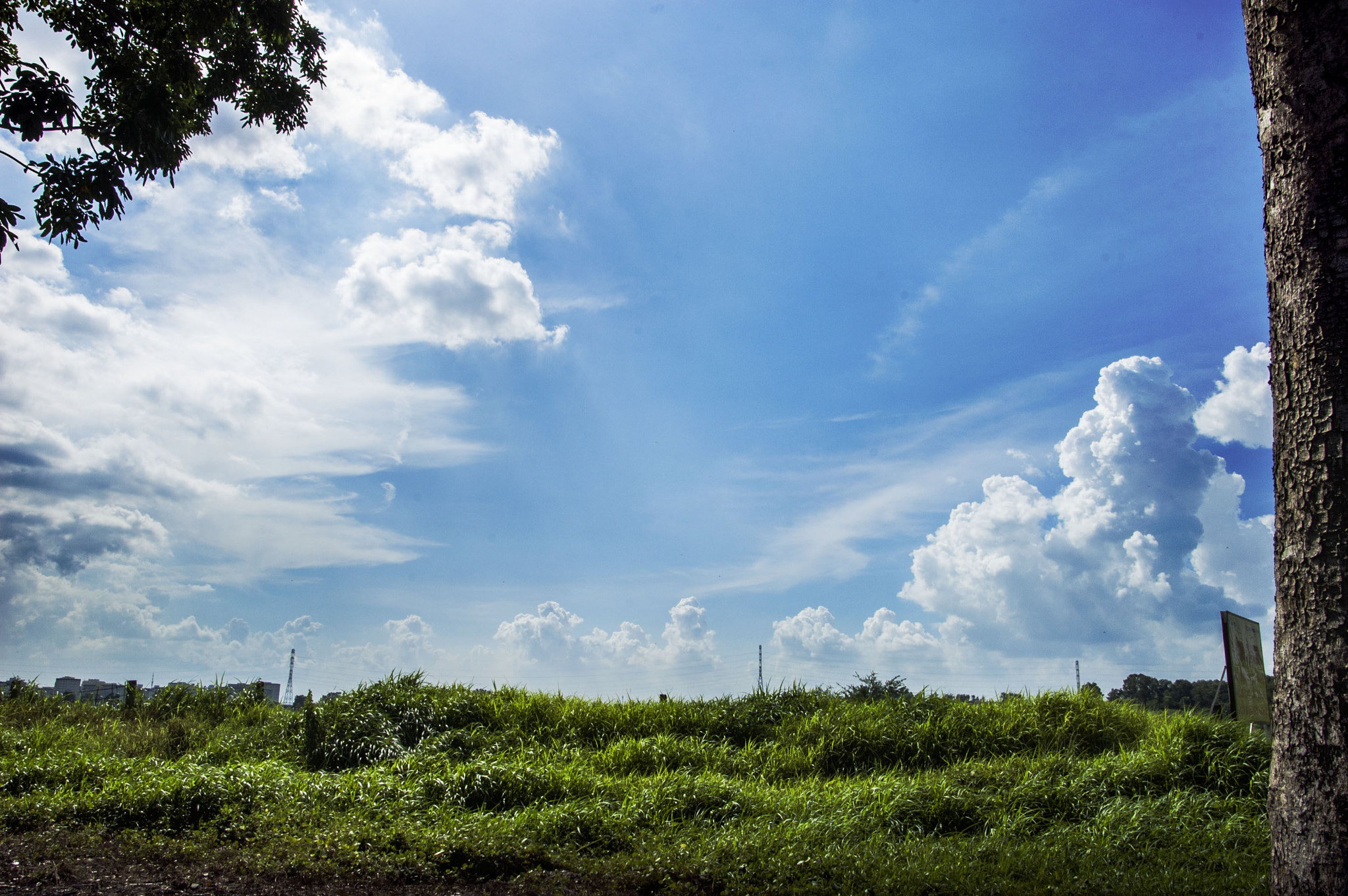Nikon D70s sample photo. A lazy afternoon with my dslr photography