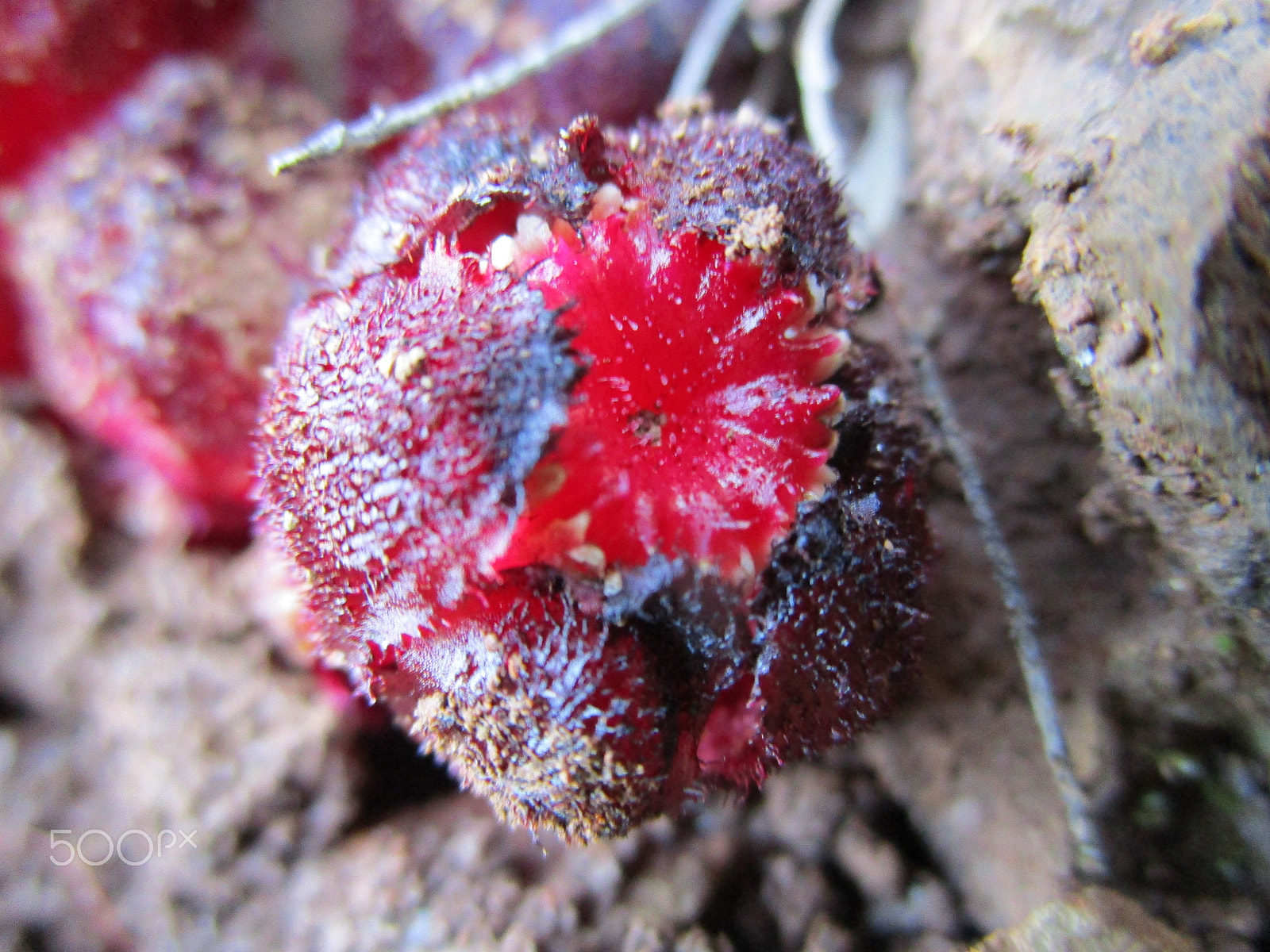 Canon PowerShot ELPH 190 IS (IXUS 180 / IXY 190) sample photo. Img photography