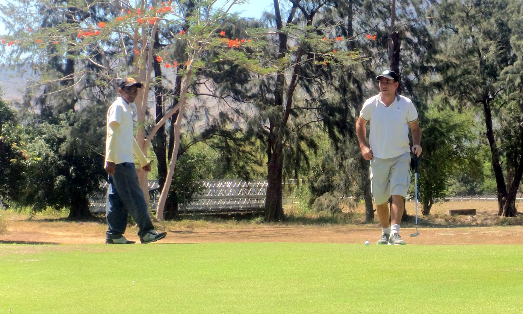 Sony Cyber-shot DSC-TF1 sample photo. On the green photography