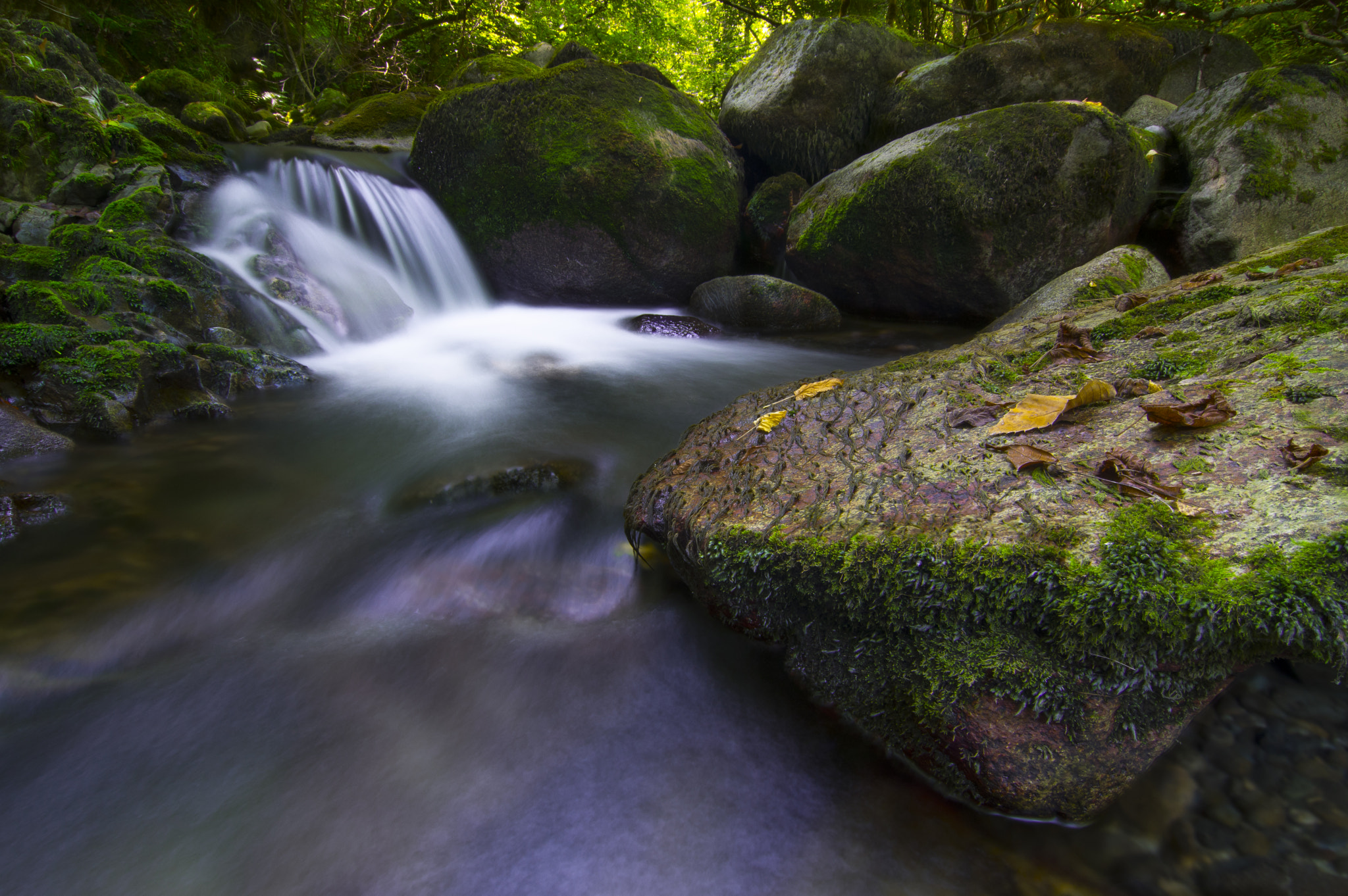 Pentax K-3 sample photo. Creek lost photography