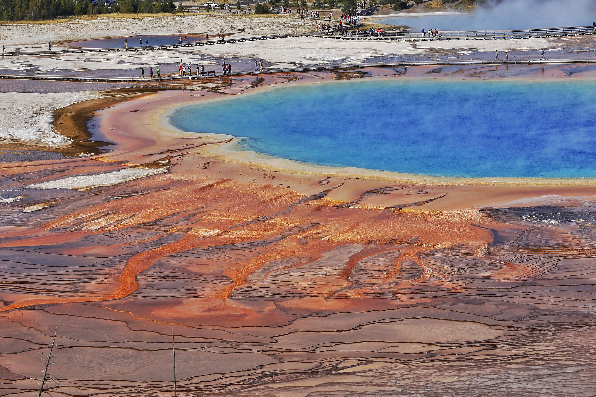 Canon EOS 6D + Canon 70-300mm sample photo. View of grand prismatic spring photography