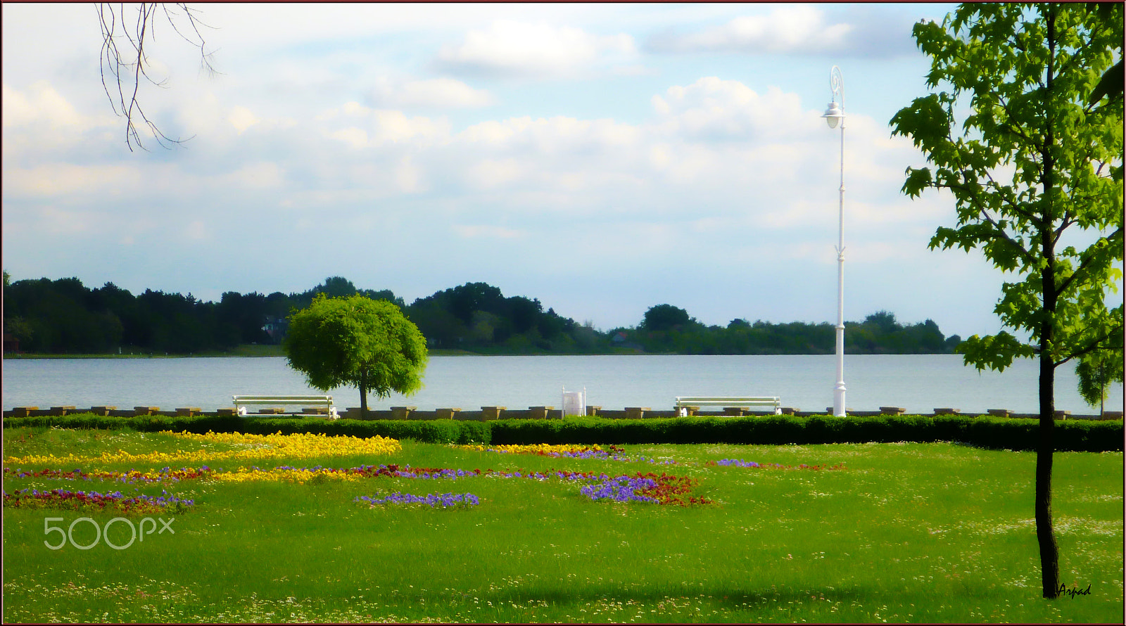 Panasonic DMC-FT3 sample photo. Spring in park palic photography