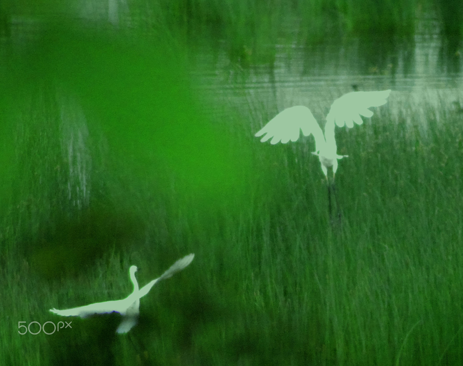 Nikon AF Nikkor 70-300mm F4-5.6G sample photo. () photography