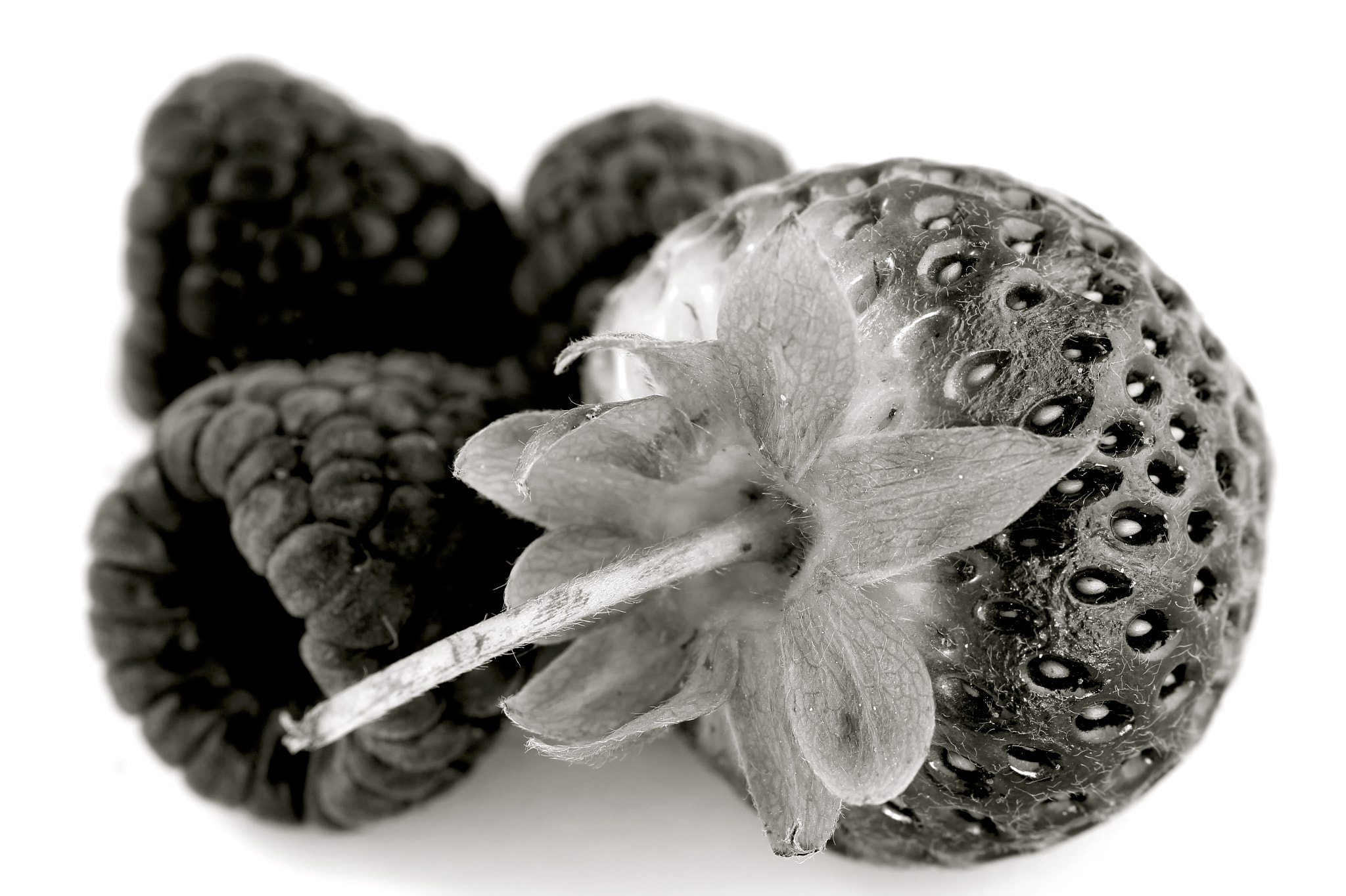 Sigma 105mm F2.8 EX DG Macro sample photo. Beauty from a single channel photography