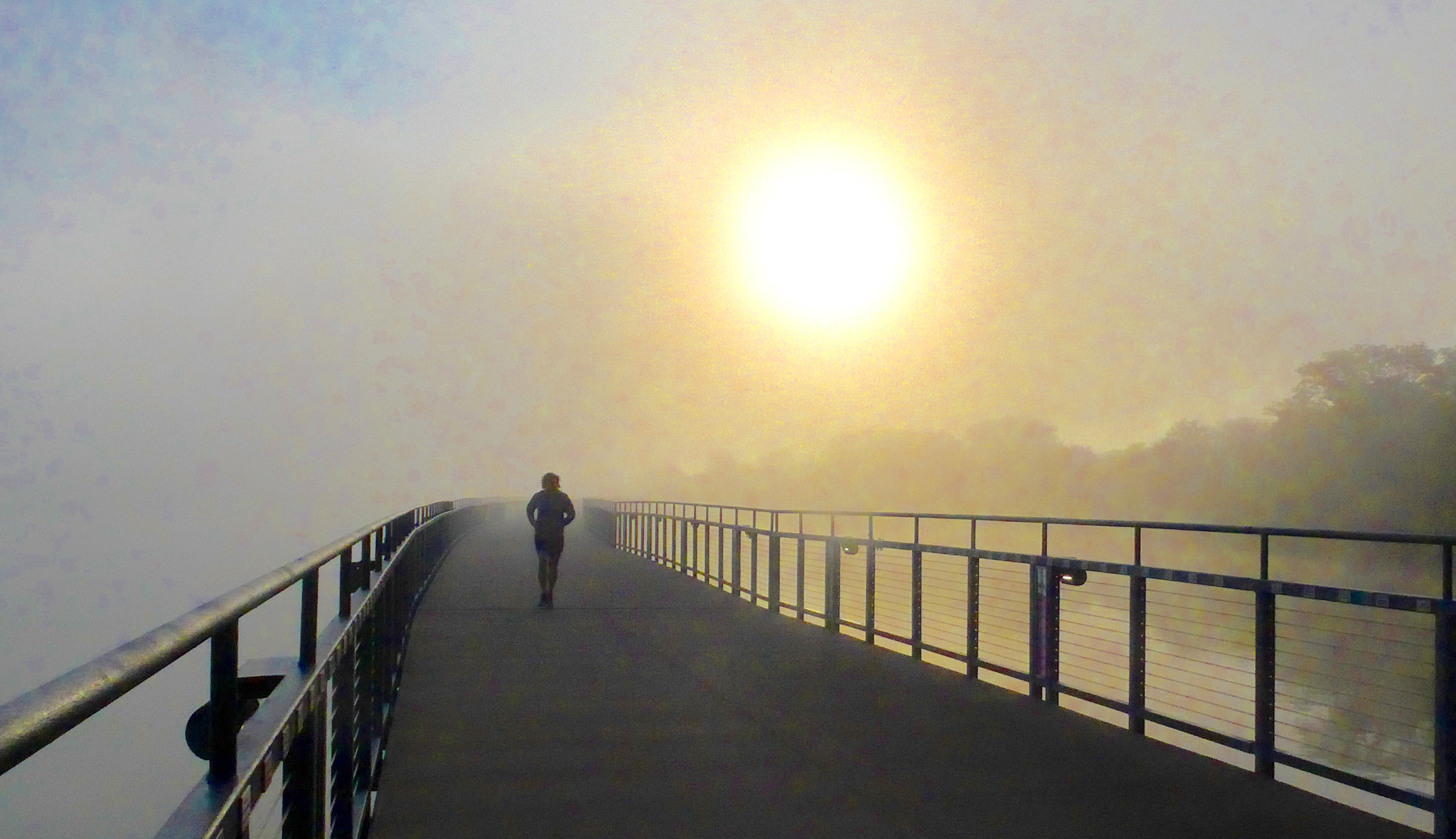 Leica C (Typ 112) sample photo. Morning fog photography