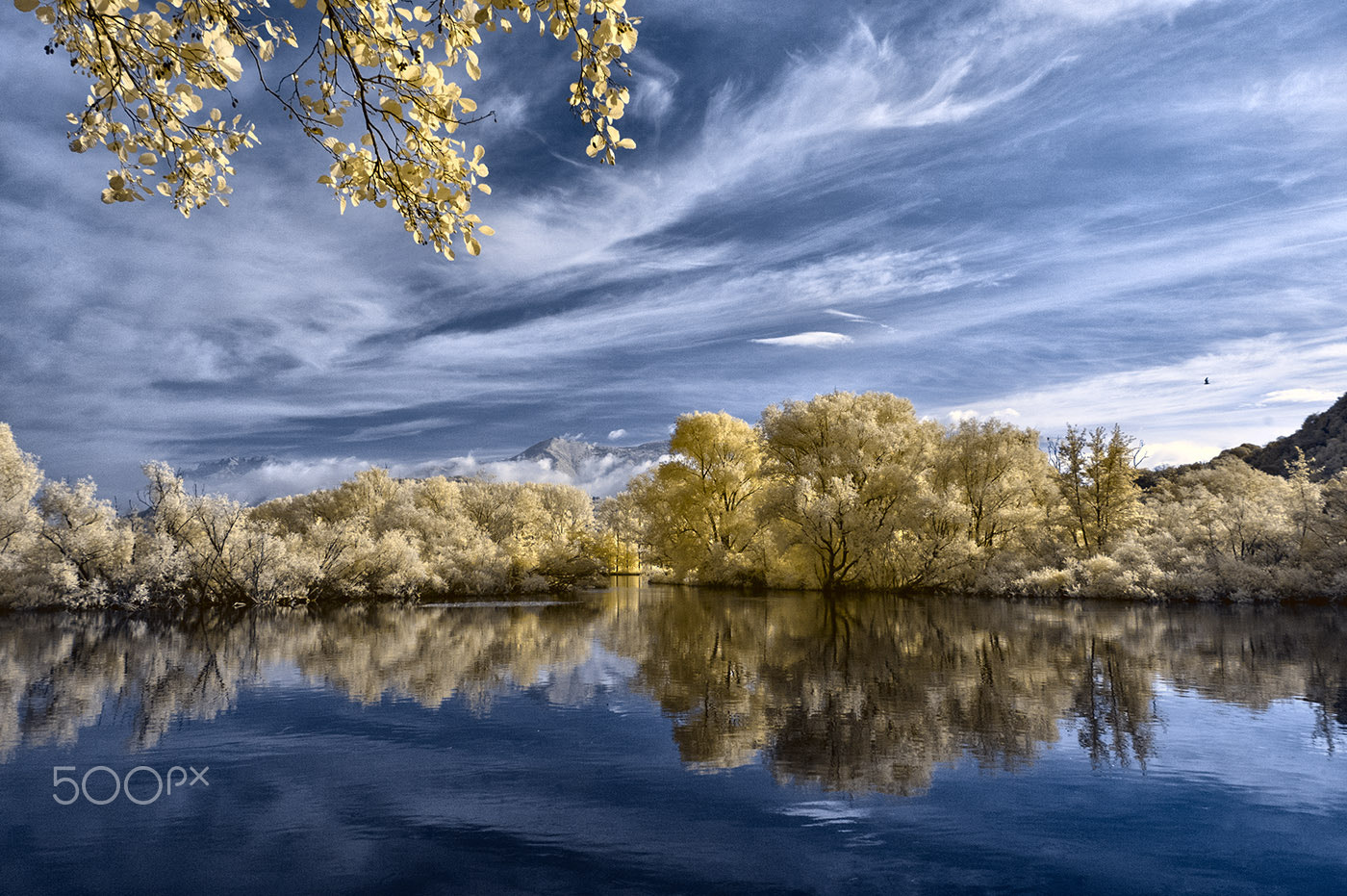 Nikon D70s sample photo. The river adda photography