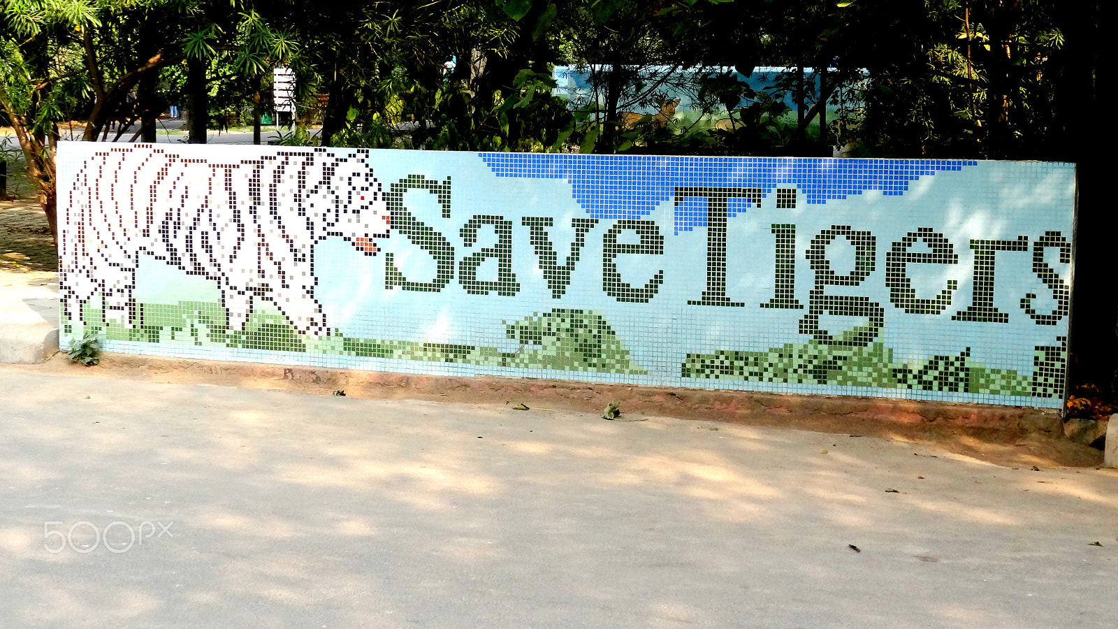 Sony Cyber-shot DSC-HX7V sample photo. Save tigers photography