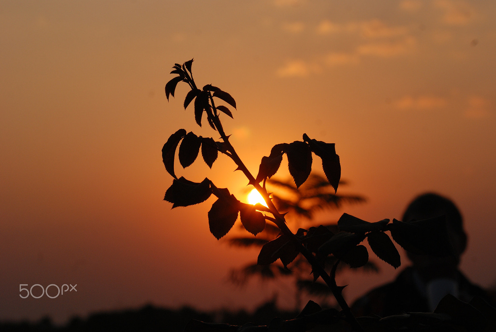 Nikon D80 + AF Nikkor 85mm f/1.8 sample photo. Sunset in malawi photography