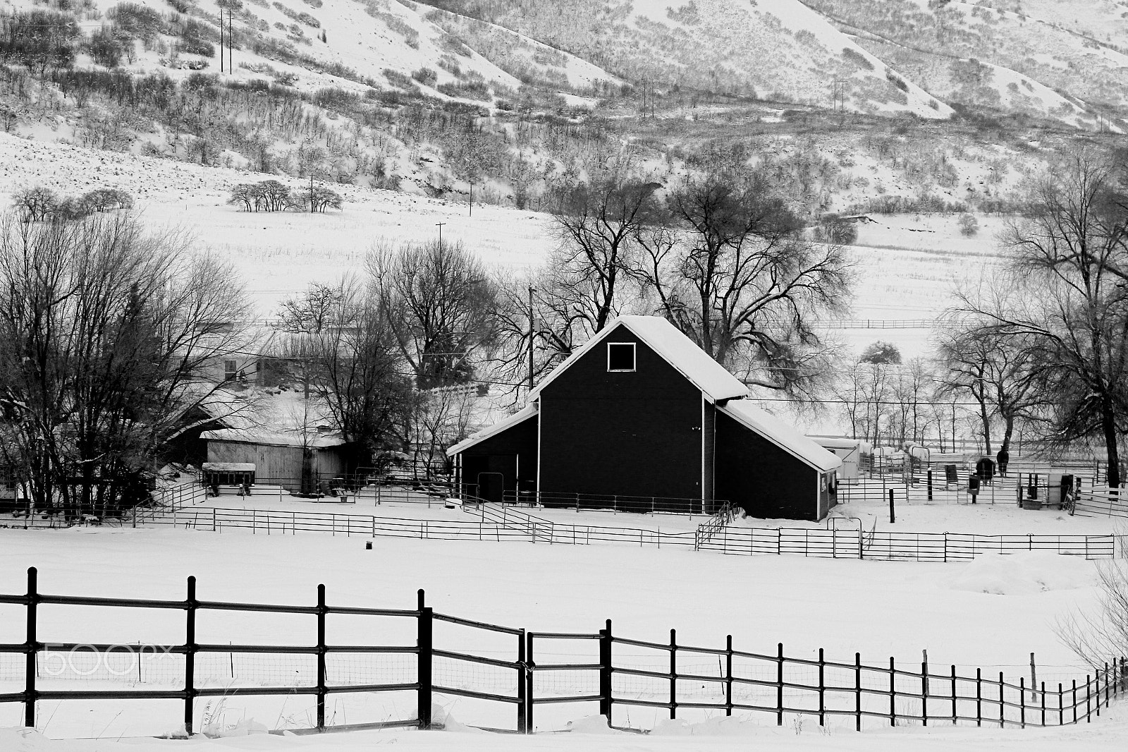 Canon EOS 60D + Canon EF-S 18-135mm F3.5-5.6 IS sample photo. Winter on the farm photography