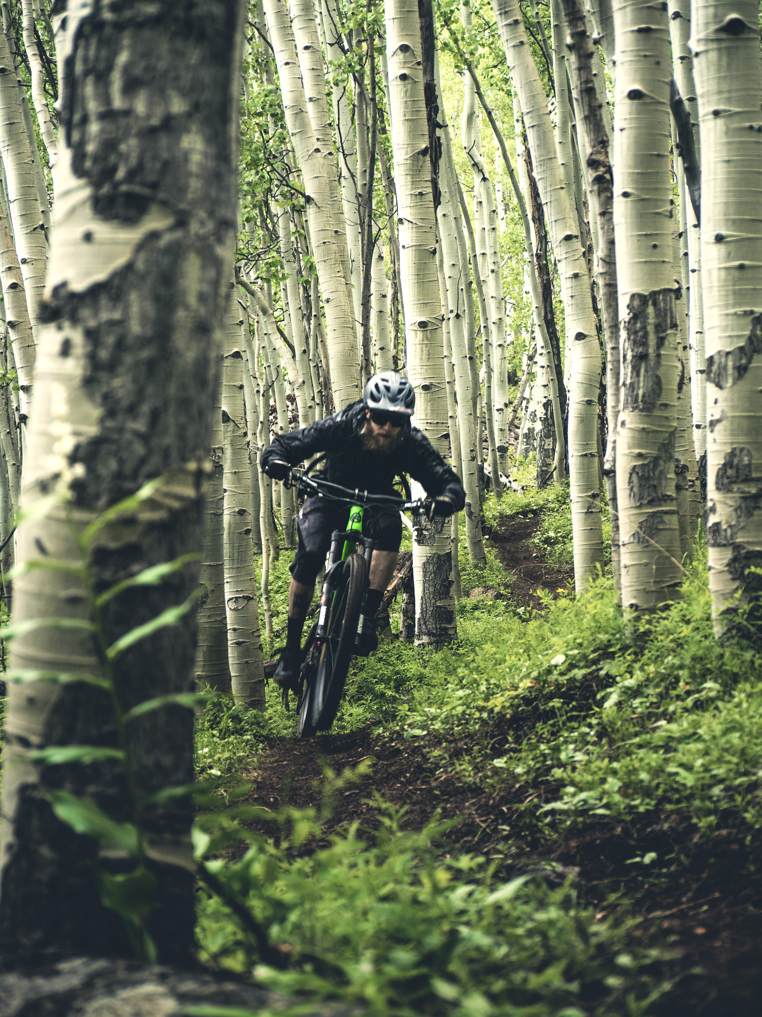 Panasonic Lumix G Vario 45-200mm F4-5.6 OIS sample photo. Eliot on the bike happy hour aspens photography