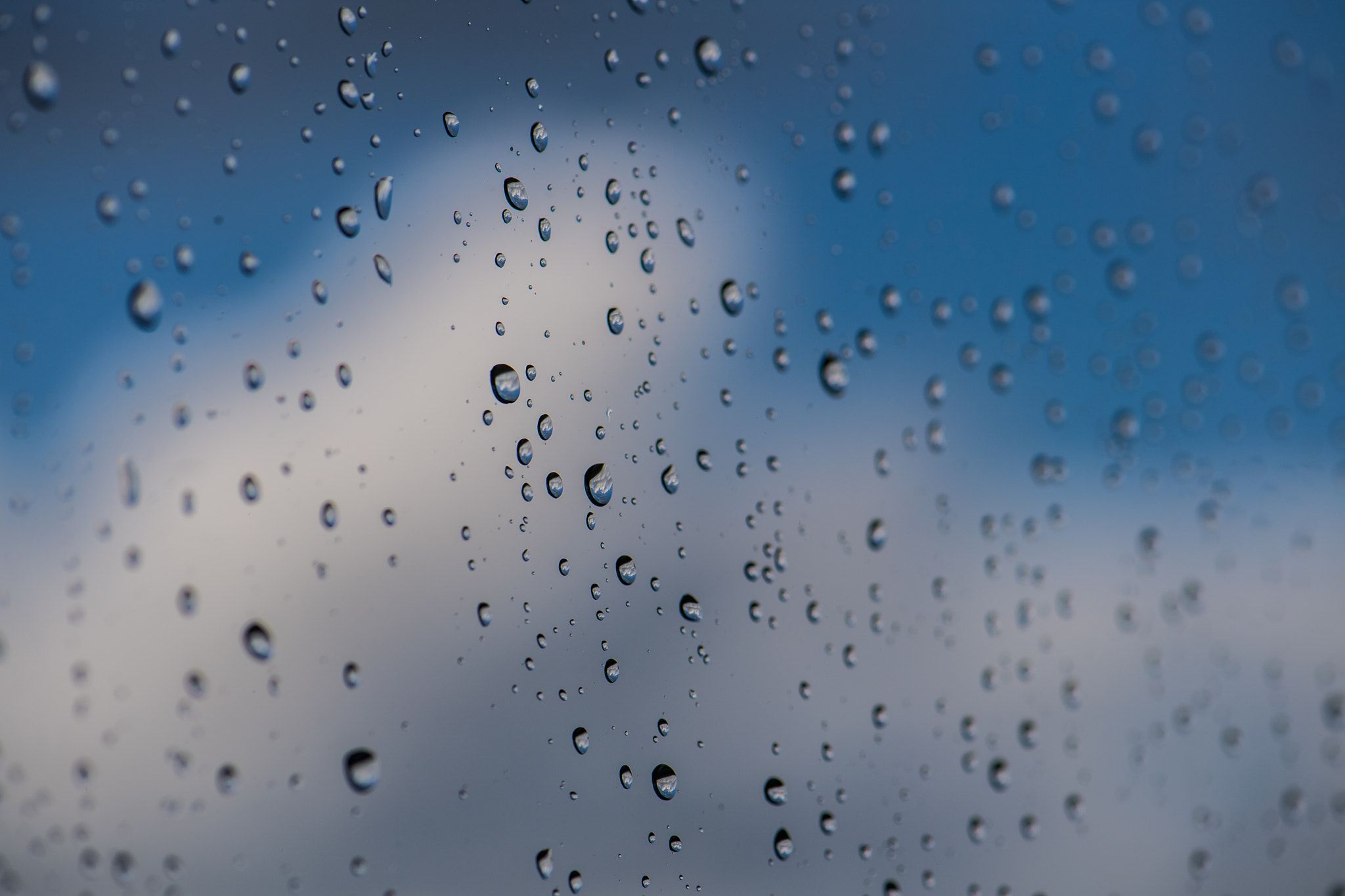 Nikon D5 sample photo. Raindrops photography
