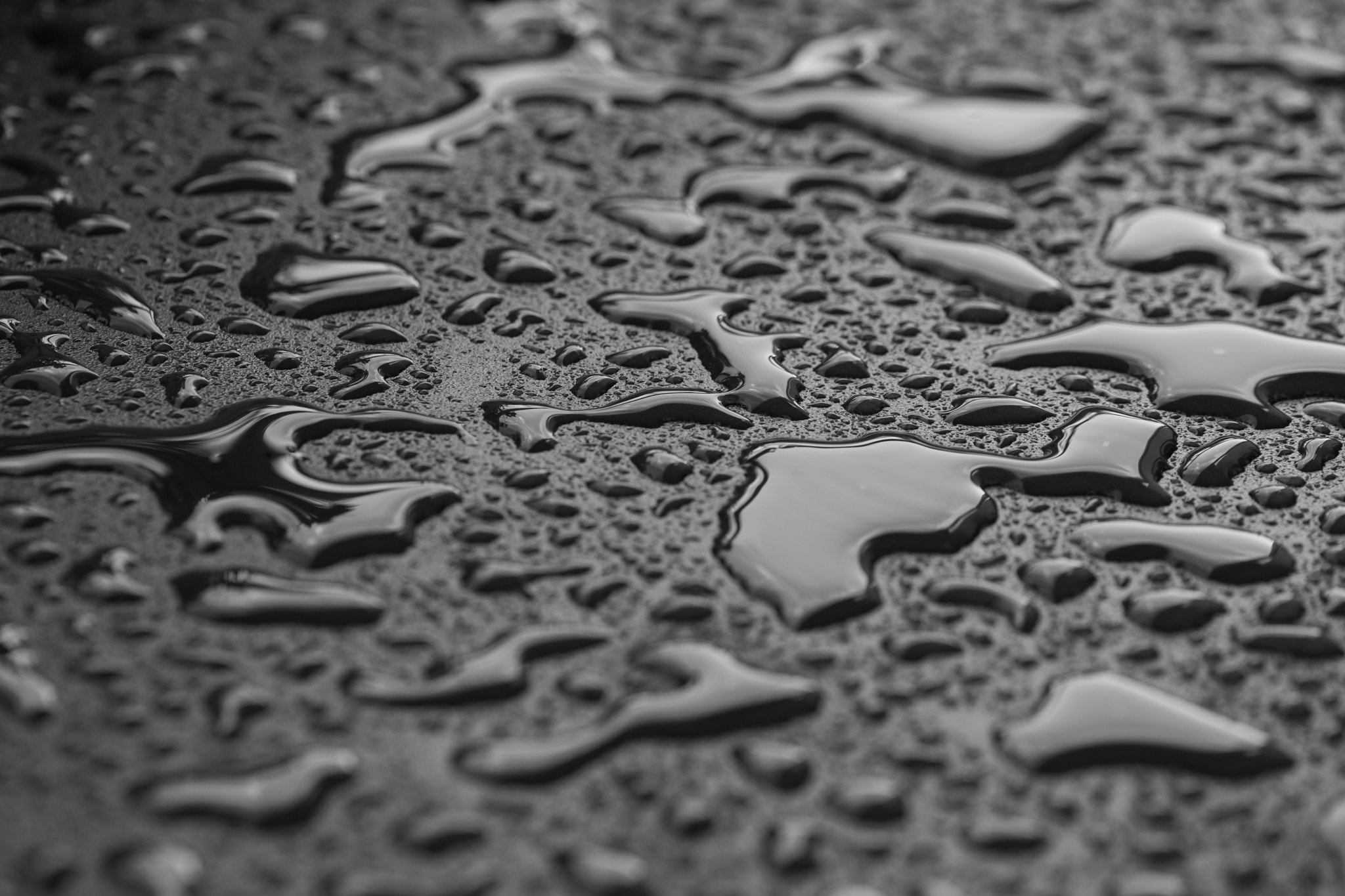 Nikon D5 sample photo. Water photography