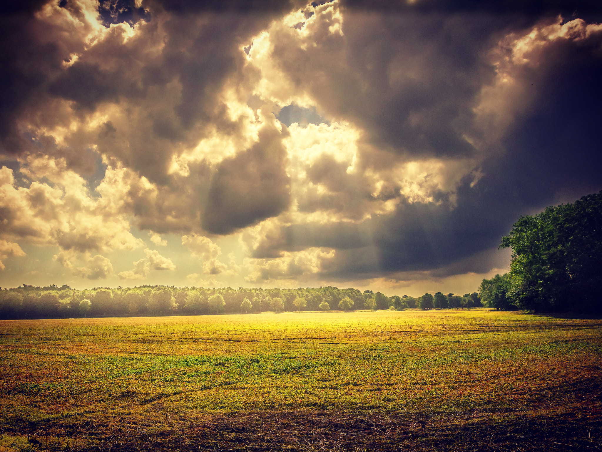 Canon EF 16-35mm F2.8L II USM sample photo. Thunder storms are coming... photography