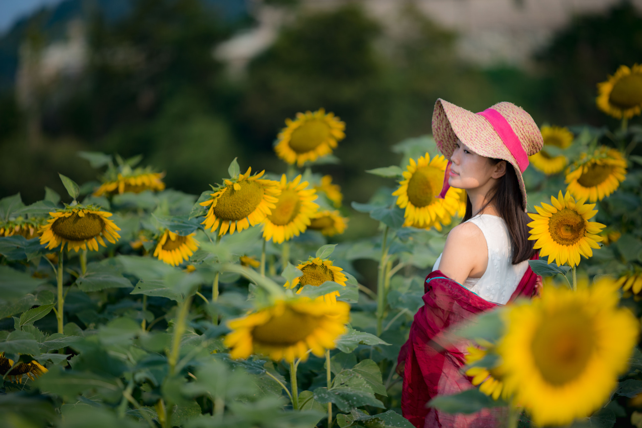 ZEISS Apo Sonnar T* 135mm F2 sample photo. Dsc photography