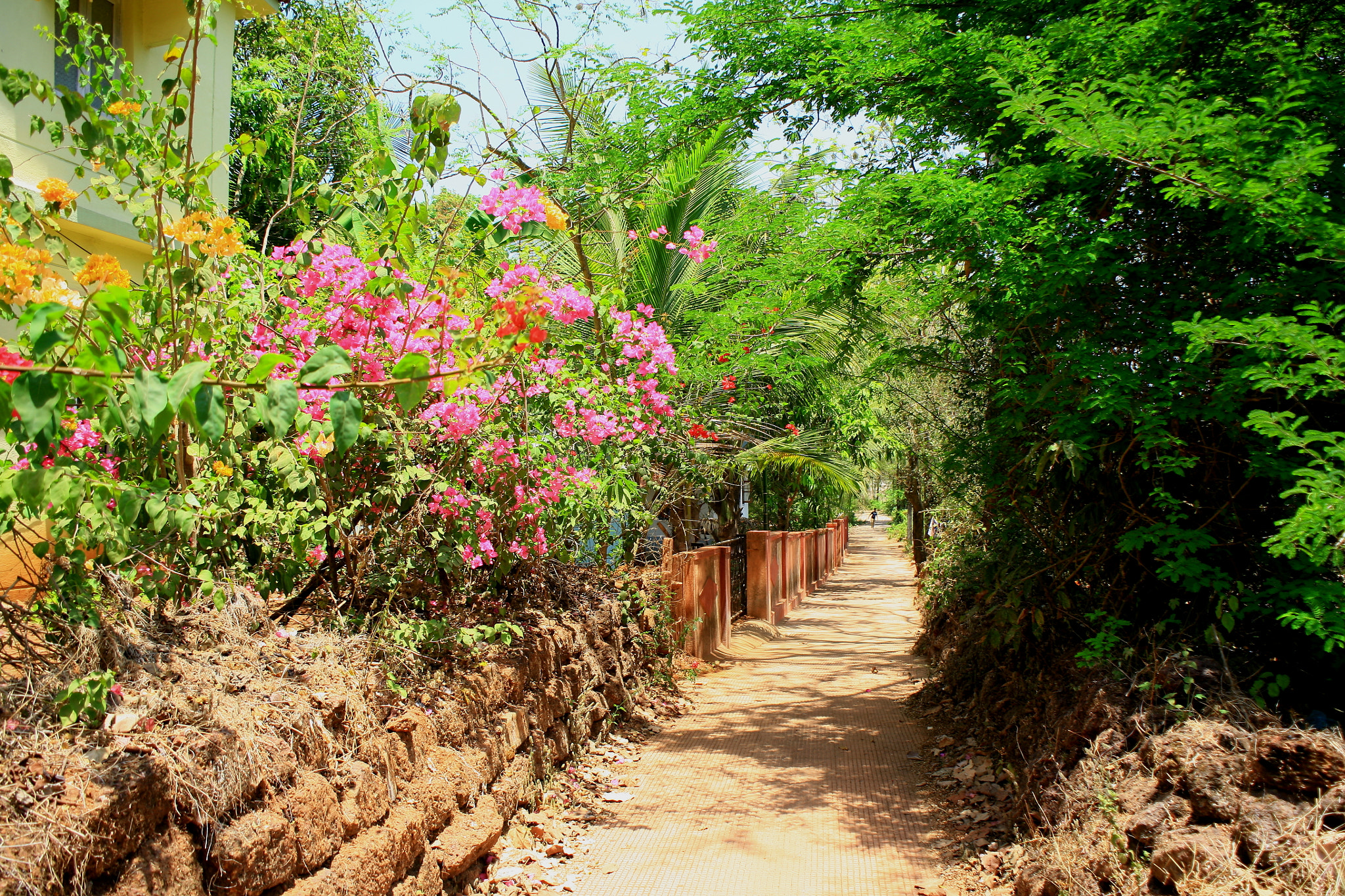 Canon EF 28-80mm f/3.5-5.6 sample photo. Rural lane photography