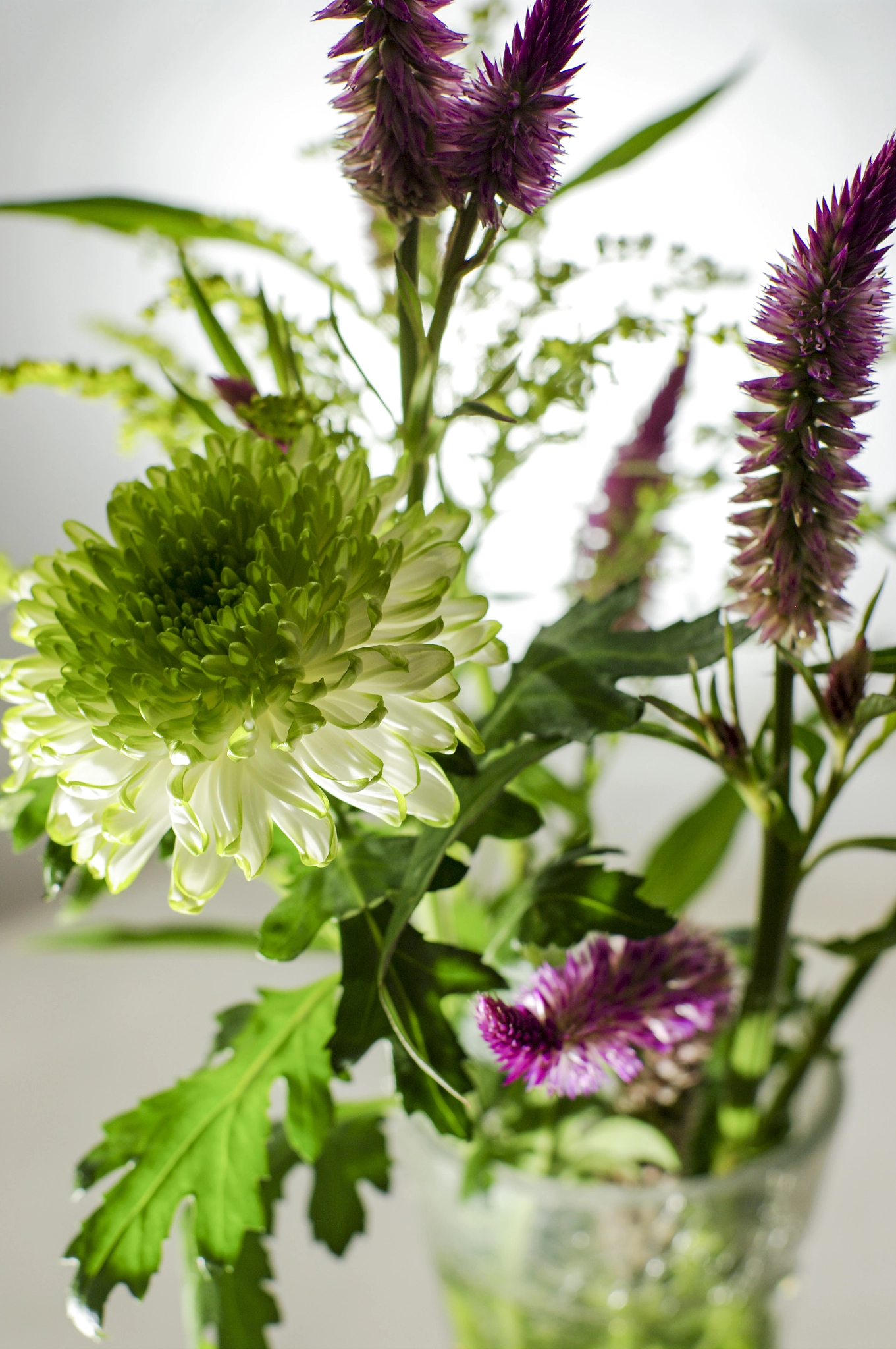 Pentax smc FA 50mm F1.4 sample photo. Pretty photography