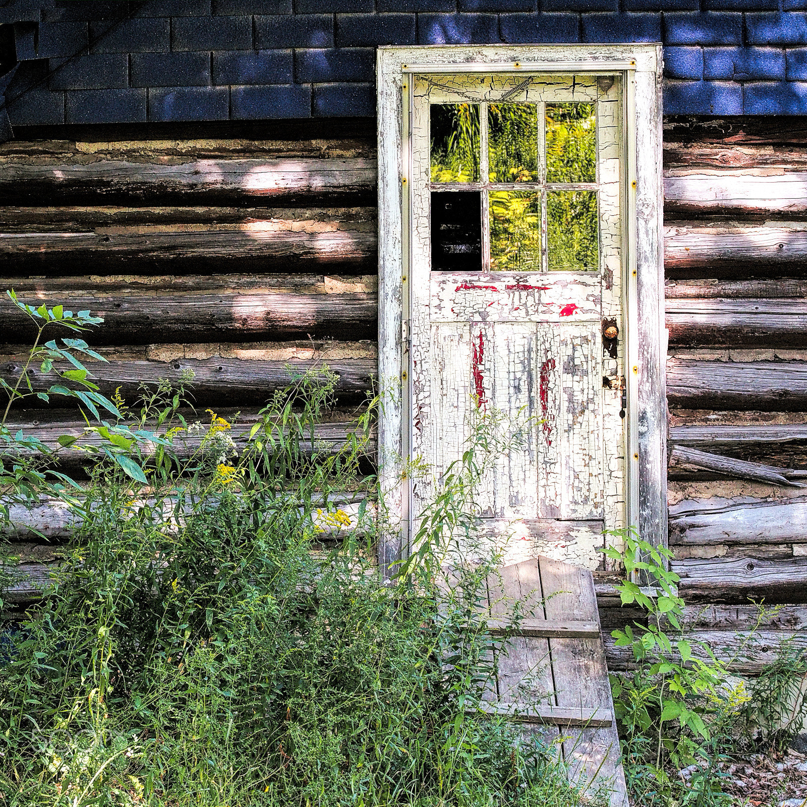 Olympus OM-D E-M5 sample photo. Cabin door photography
