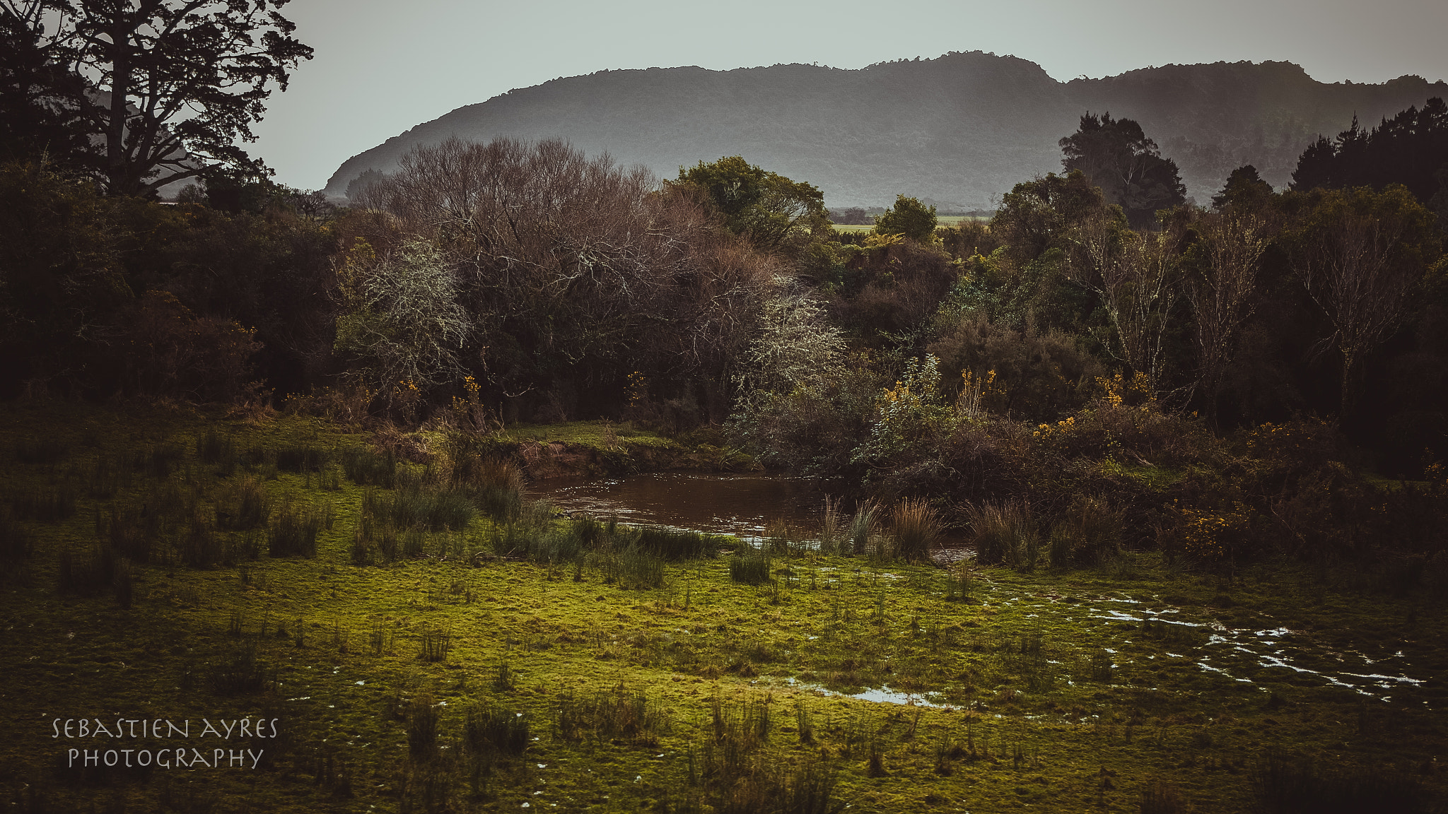 Pentax K-S2 sample photo. Hidden pond photography