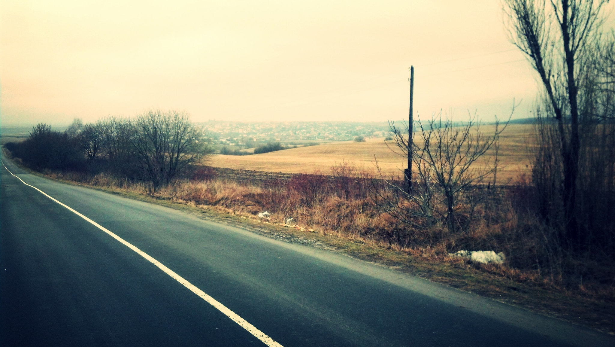 Motorola DROID RAZR sample photo. Nature photography